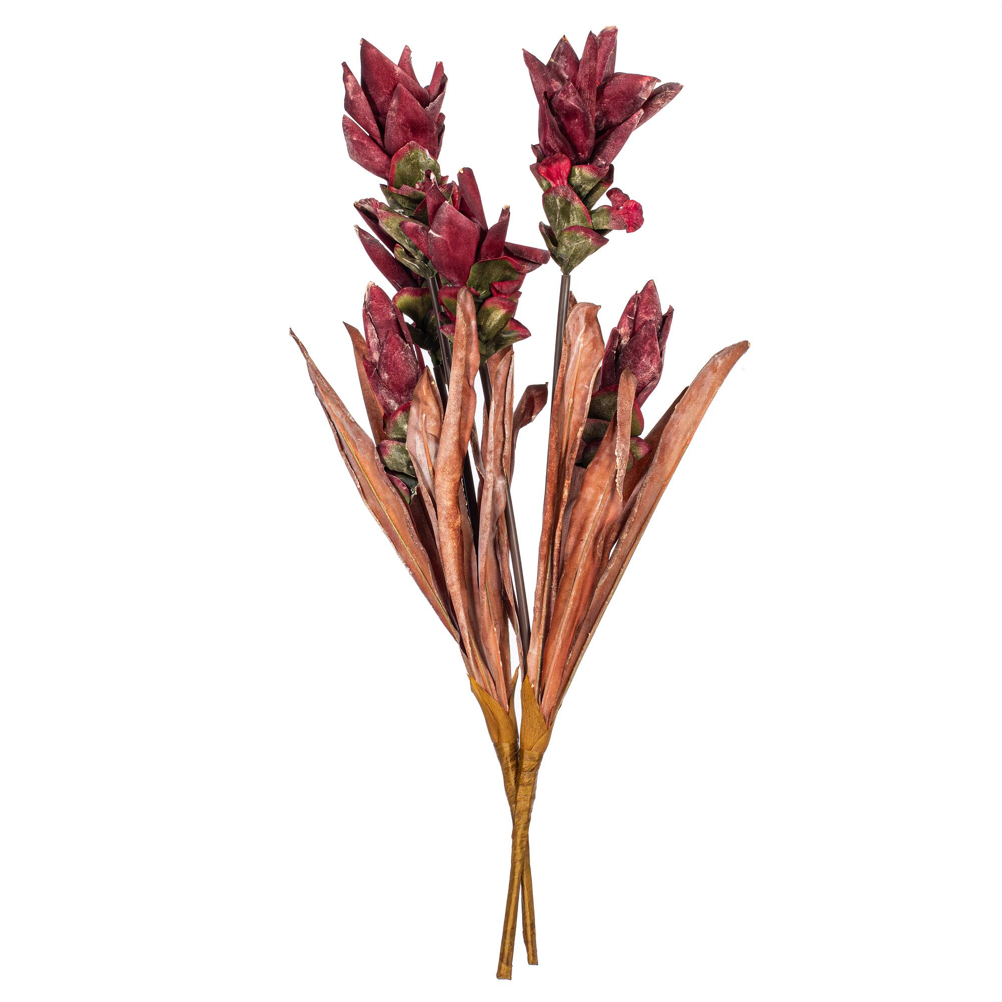 Vickerman 28.5" Red Siam Tulip Sprays, 2ct.