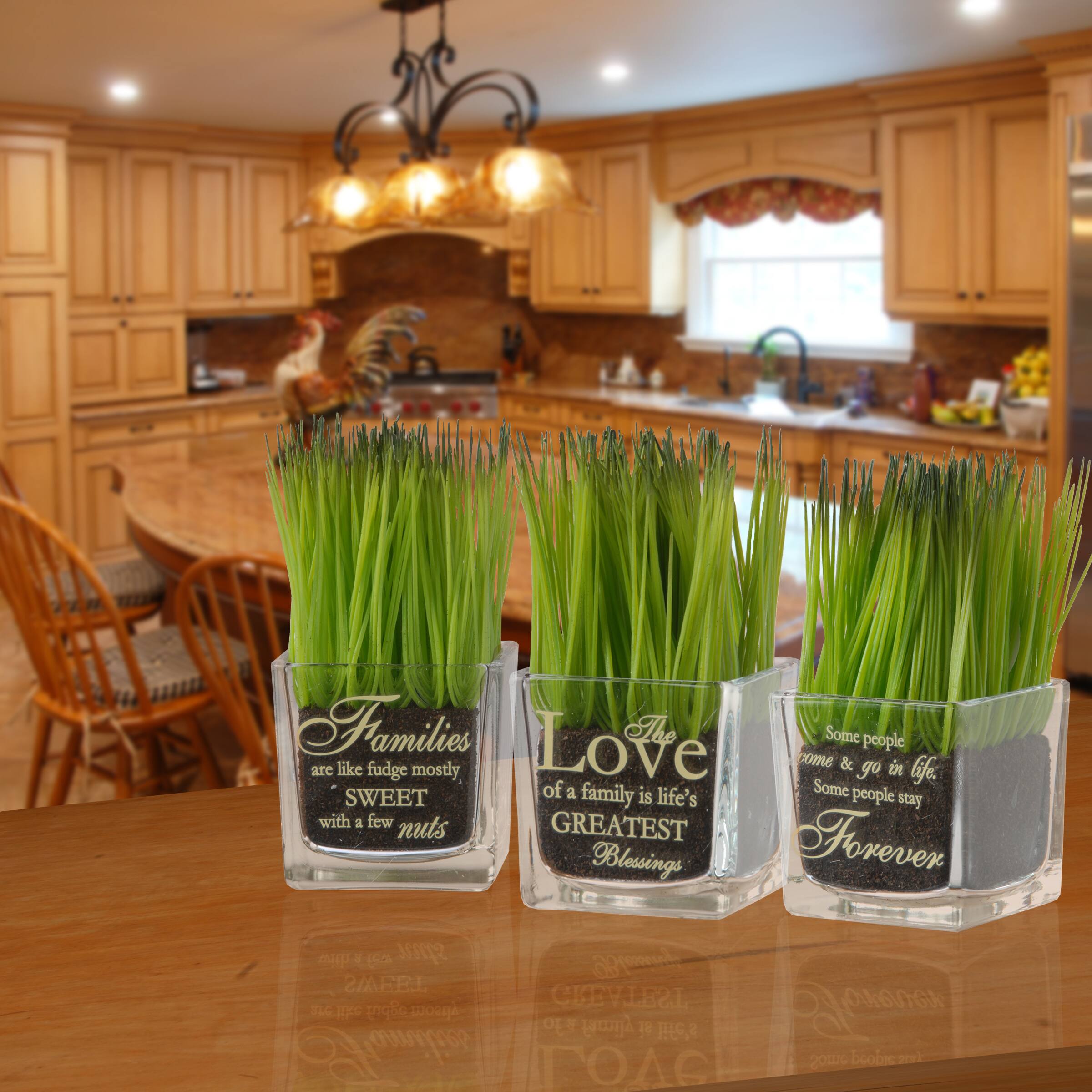 3-Piece Square Sprout-Filled Glass Assortment