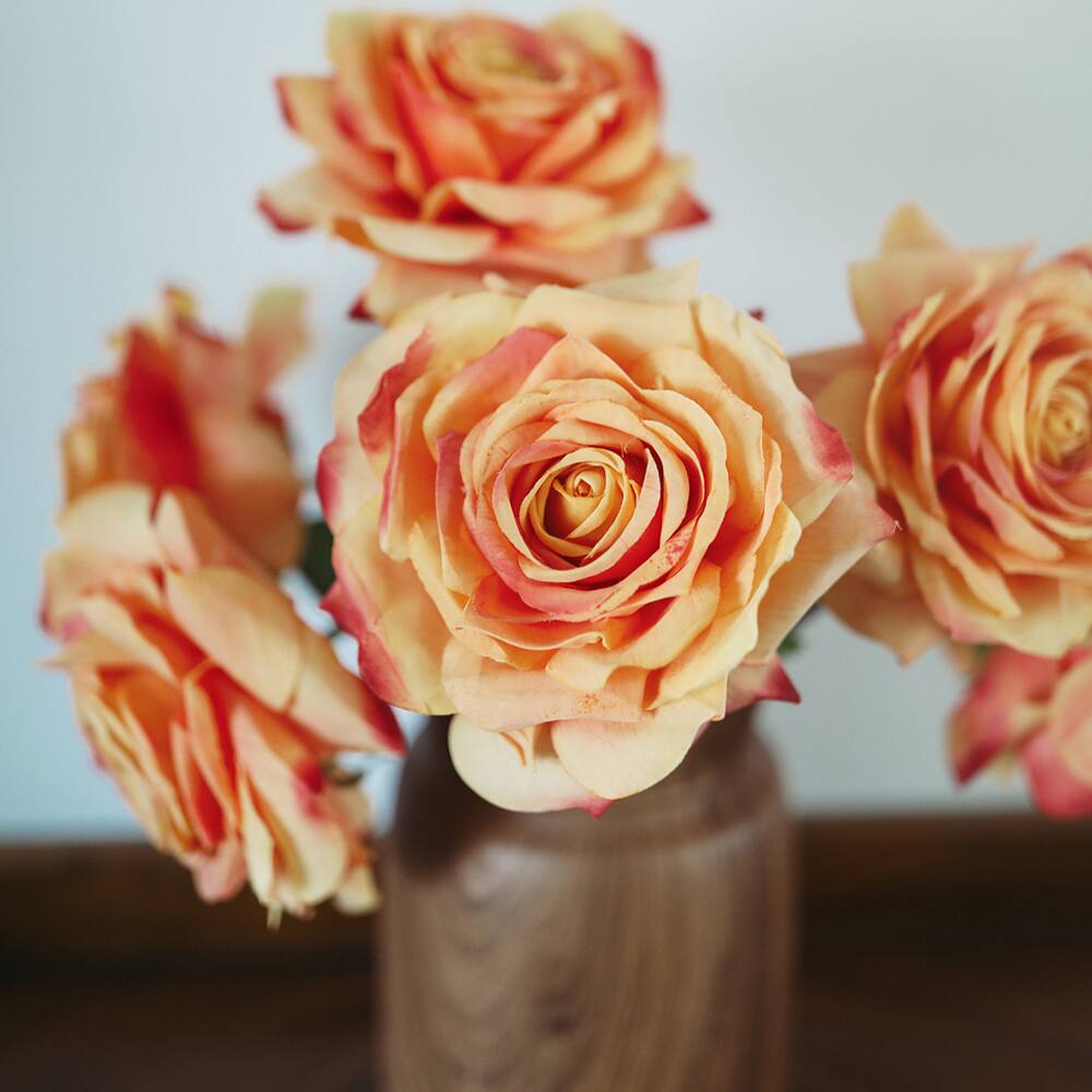Prestige Botanicals 20" Artificial Sunset Dutchess Rose Stem