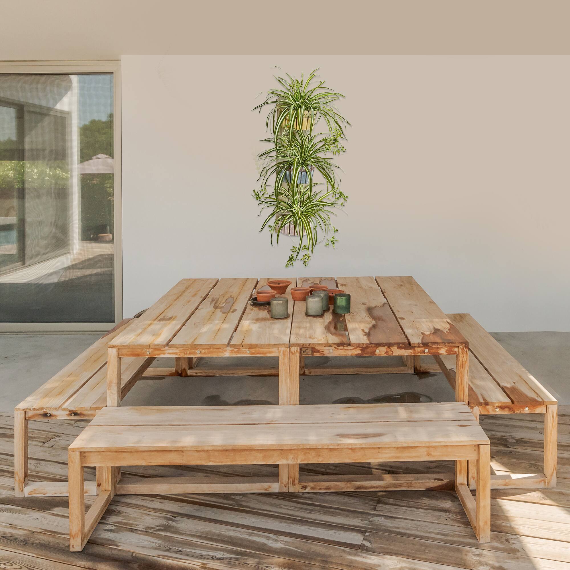 3.5ft. Spider Plant in Three-Tiered Wall Planter