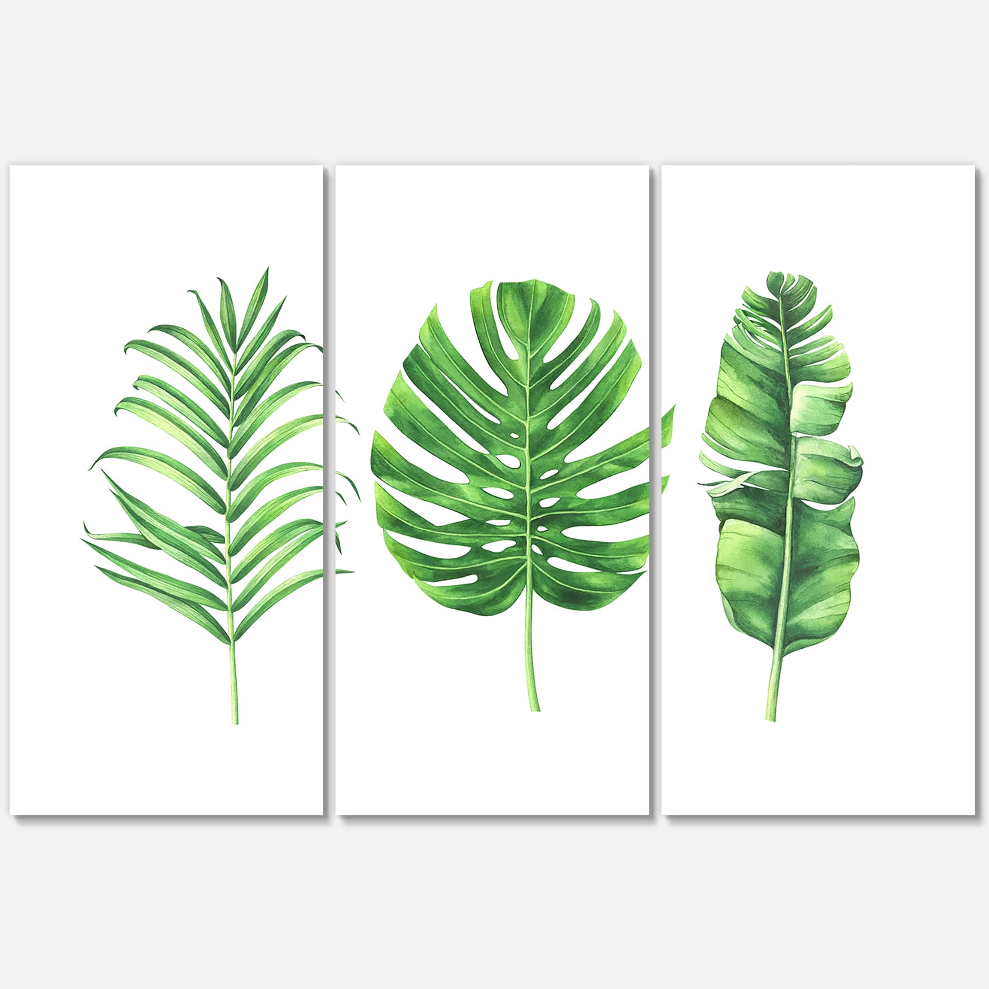 Designart - Tropical Leaf Of Monstera IV