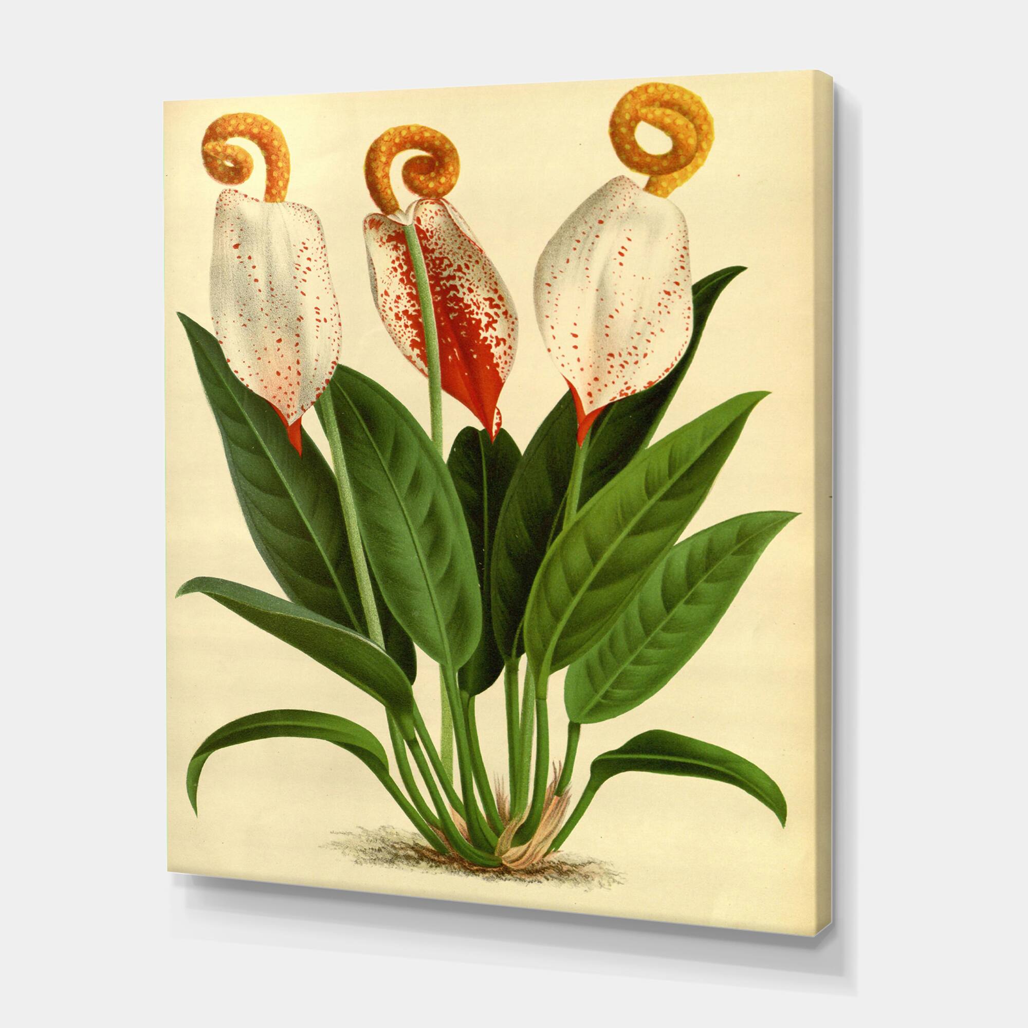 Designart - Retro Flowers I - Farmhouse Canvas Wall Art Print