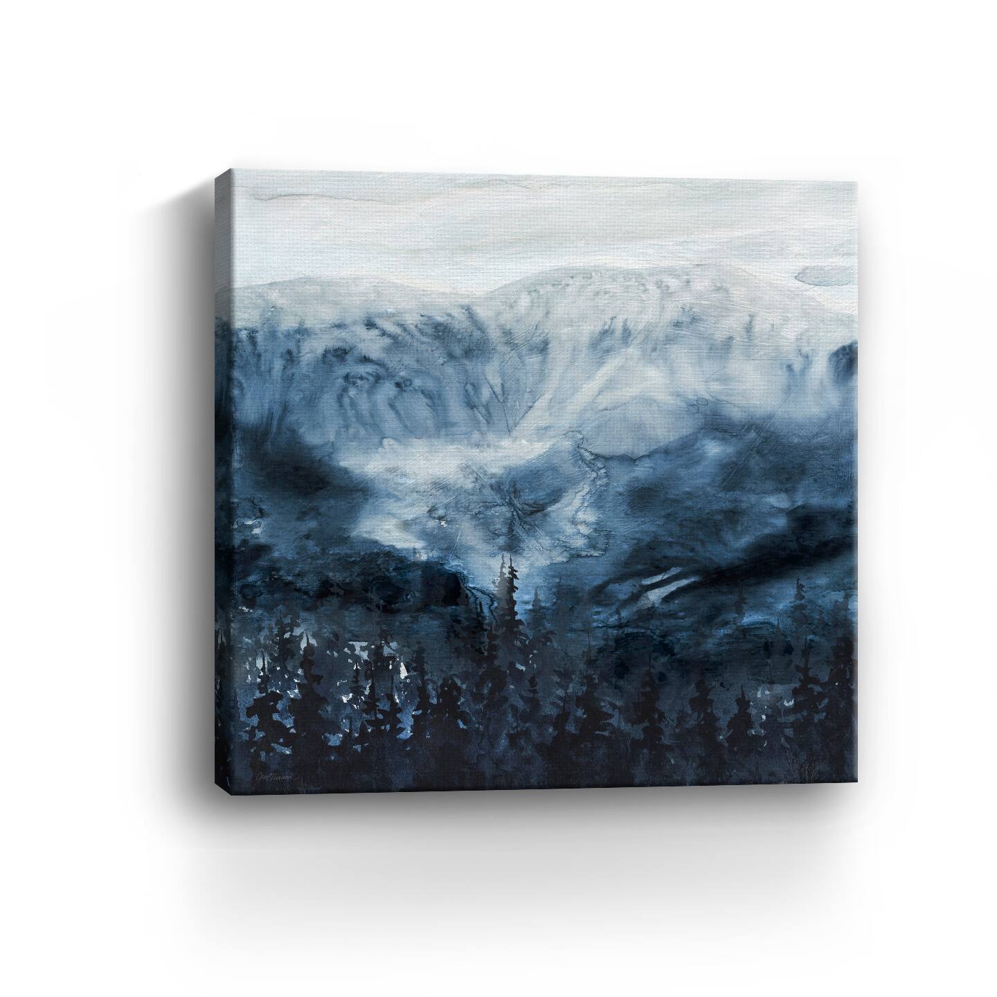 Mountain Shadows Canvas Giclee