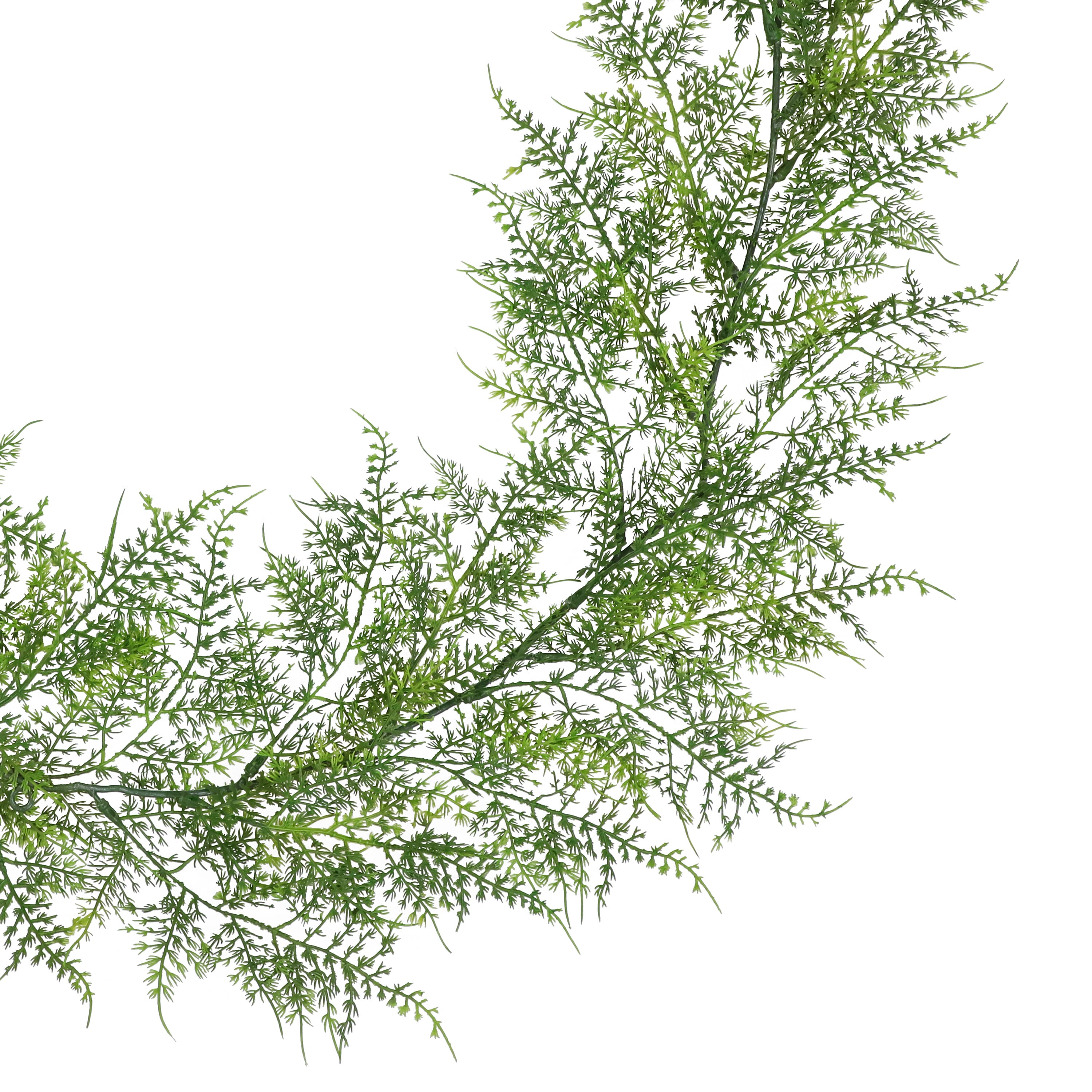 6ft. Forest Green Asparagus Fern Garland by Ashland®