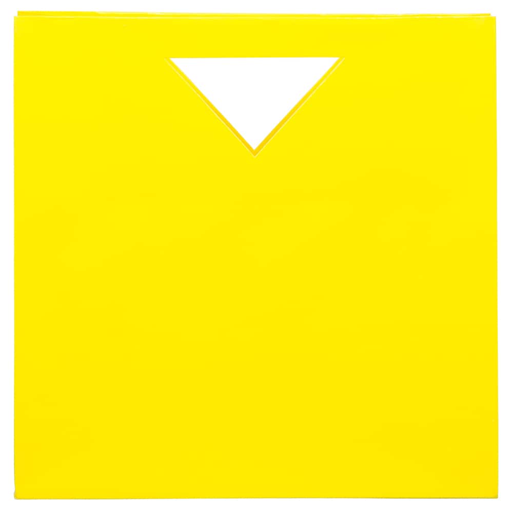 JAM Paper Medium Glossy Gift Bags with Triangle Handle