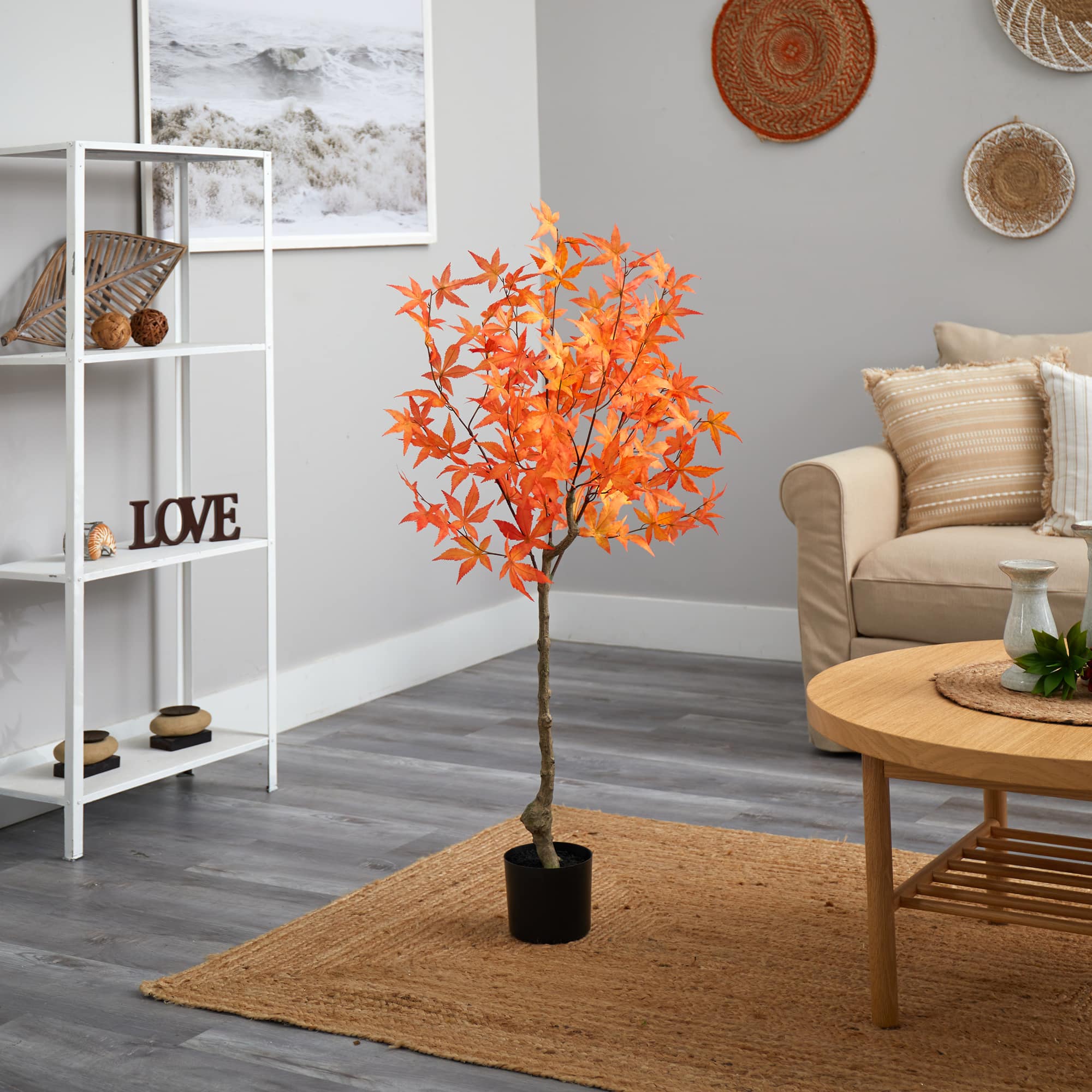 6ft. Potted Orange Autumn Maple Tree