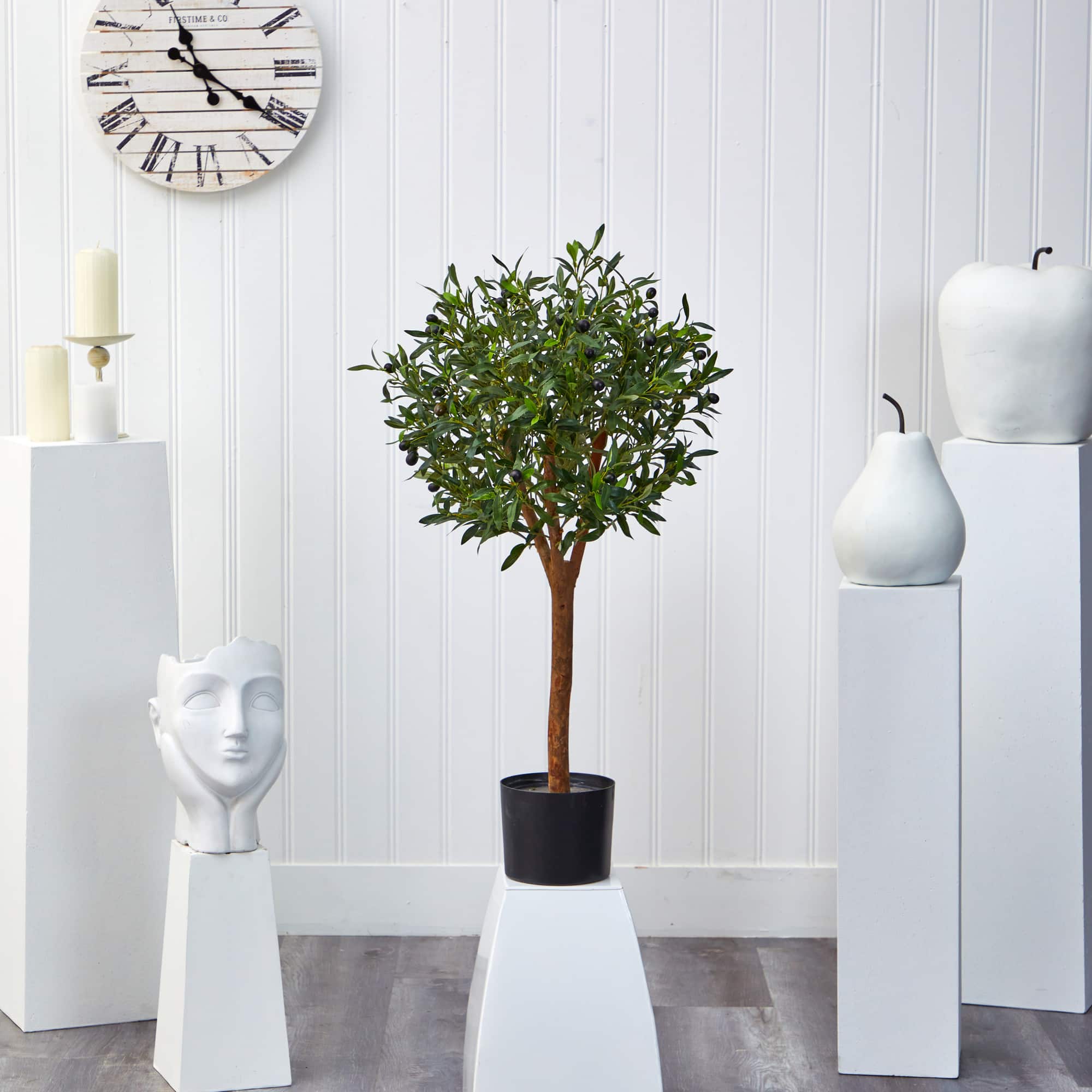3.5ft. Potted Olive Tree