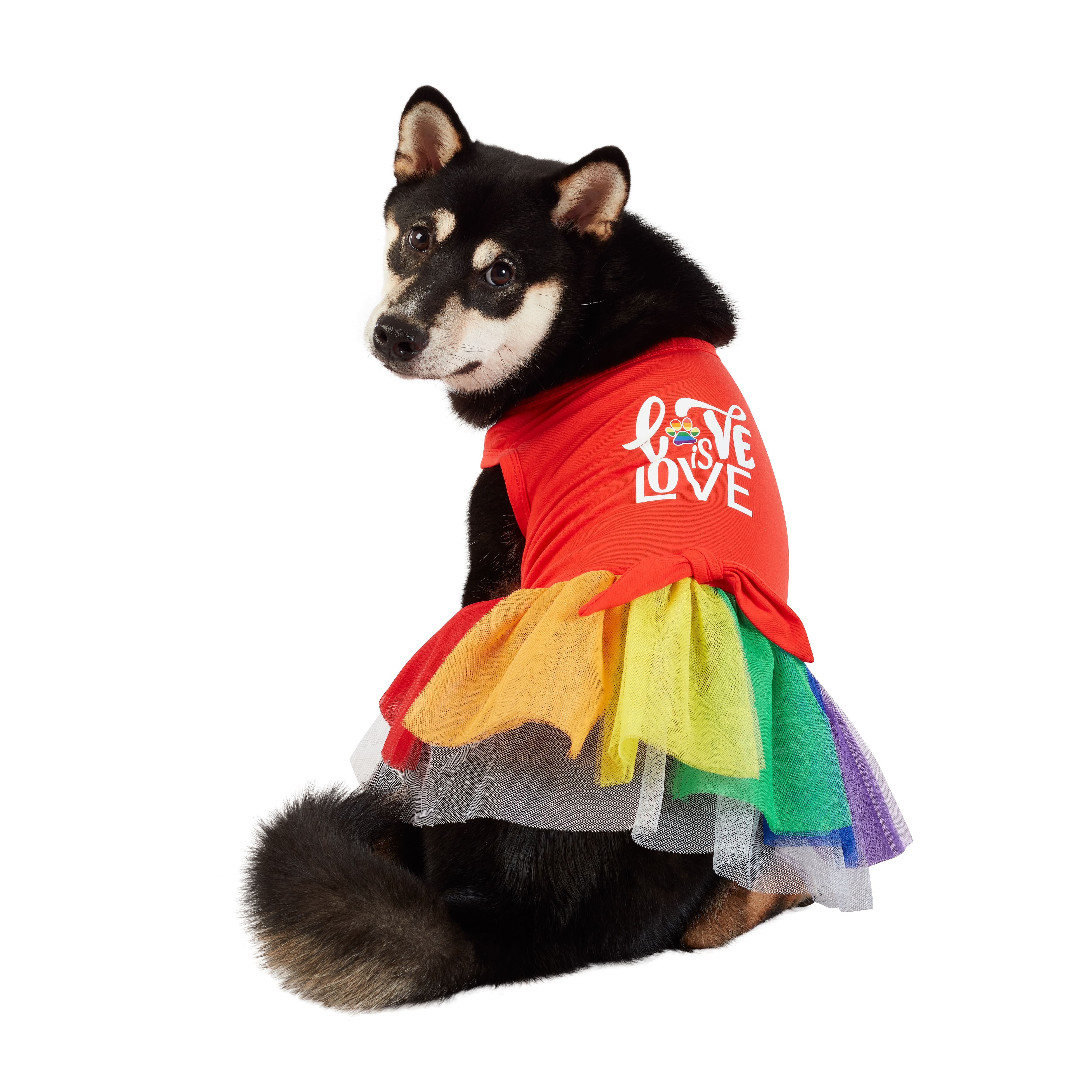 Best Furry Friends Love Pet Dress