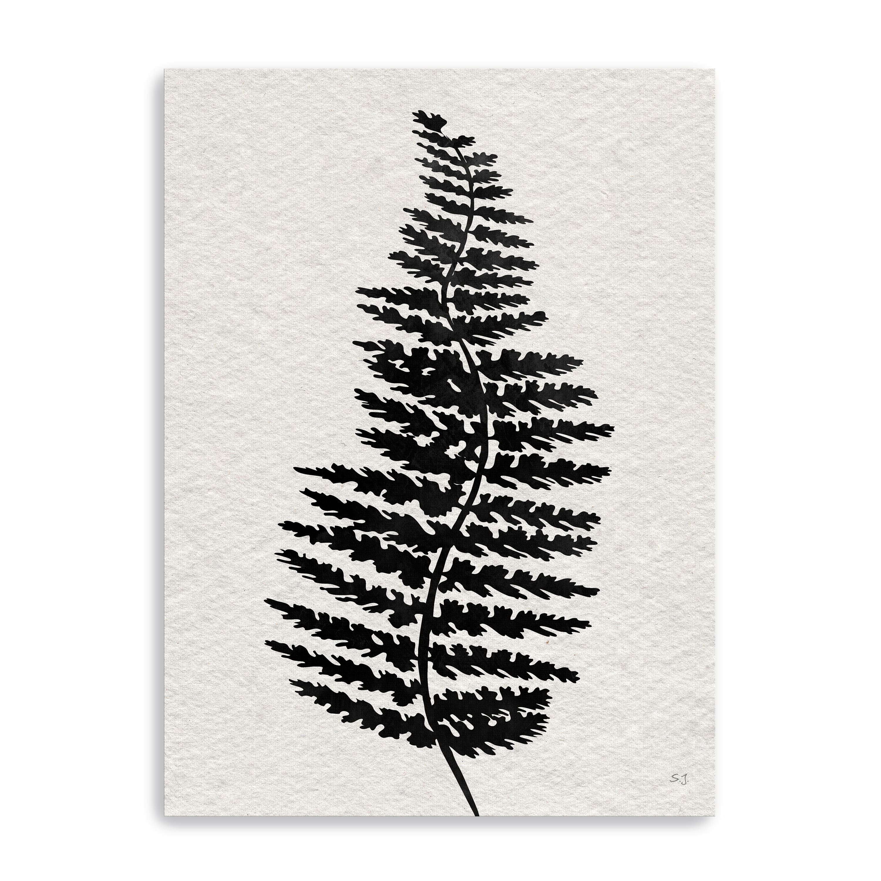 Forest Fern III   Canvas Giclee