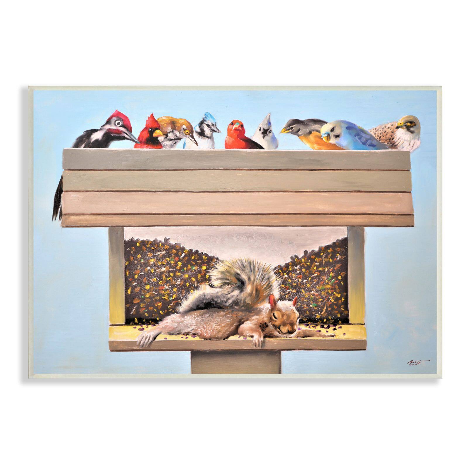 Stupell Industries Squirrel Sleeping Crowded Bird Feeder Funny Backyard Animals Wall Plaque