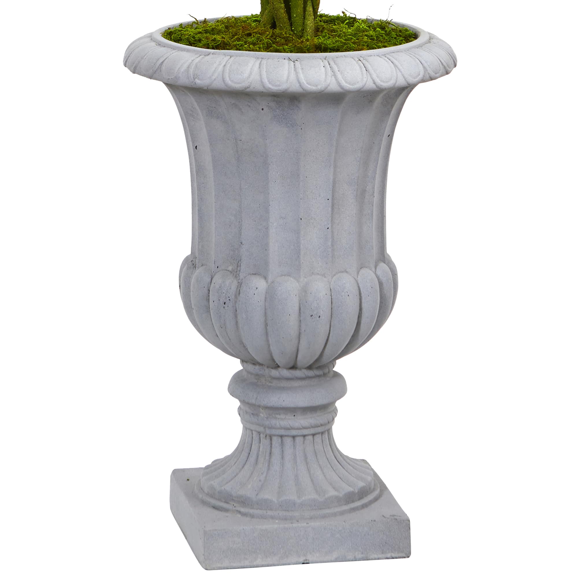 3ft. Braided Boxwood Topiary Tree in Gray Urn