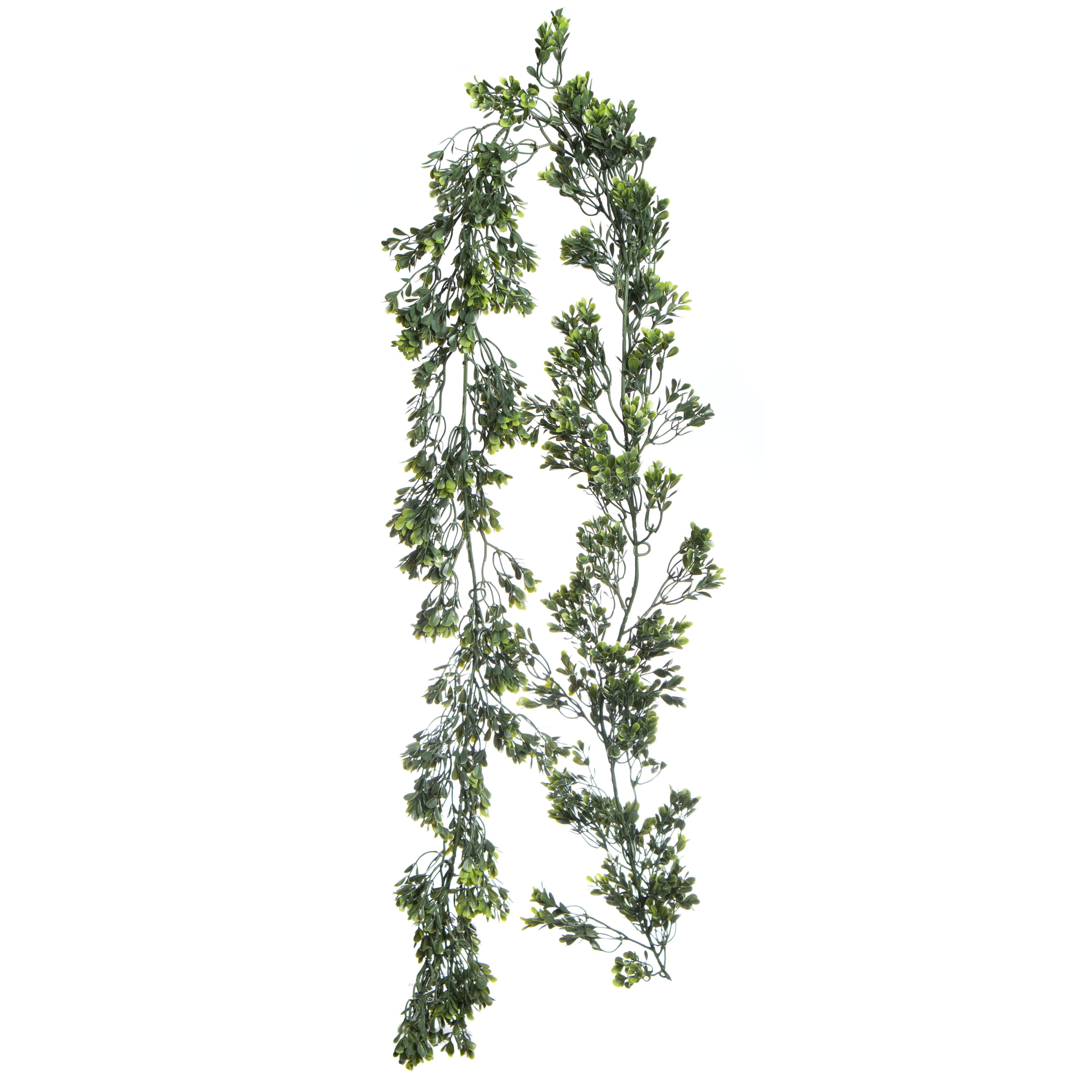 6ft. UV Resistant Boxwood Garland by Ashland®