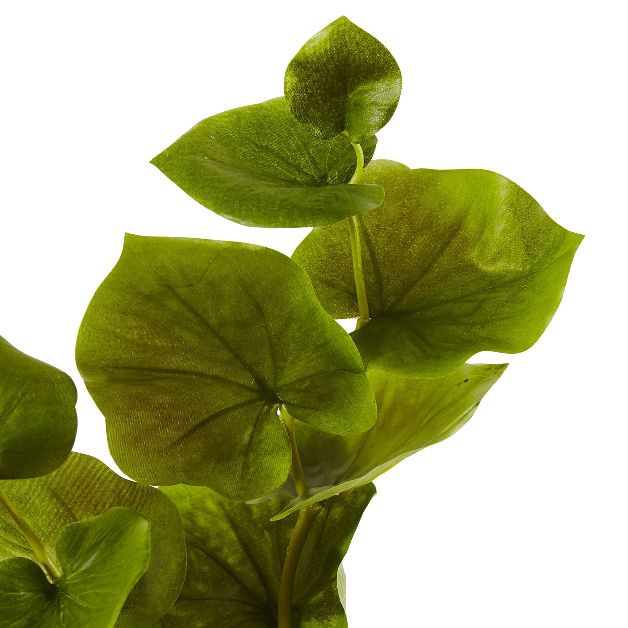 Lotus Artificial Leaf, 12ct.