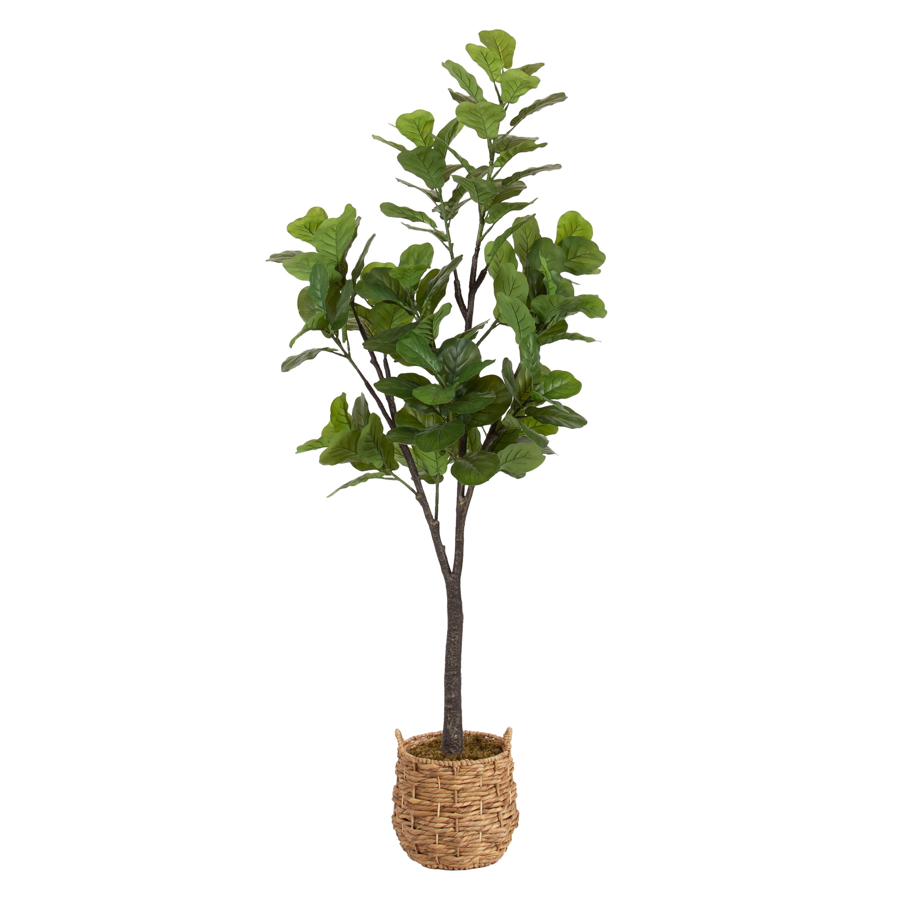 Kate and Laurel 6ft. Fidmont Faux Fiddle Fig Tree with Natural Planter