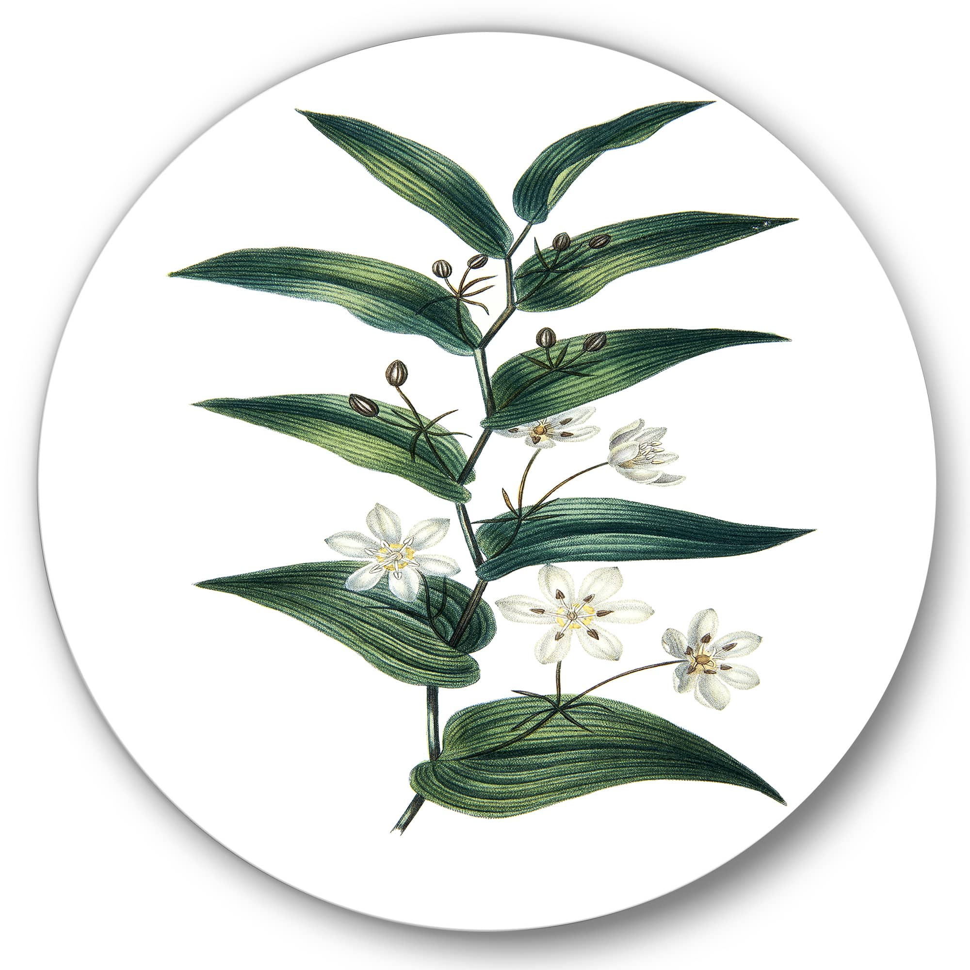 Designart - Vintage Plant With Little White Flowers
