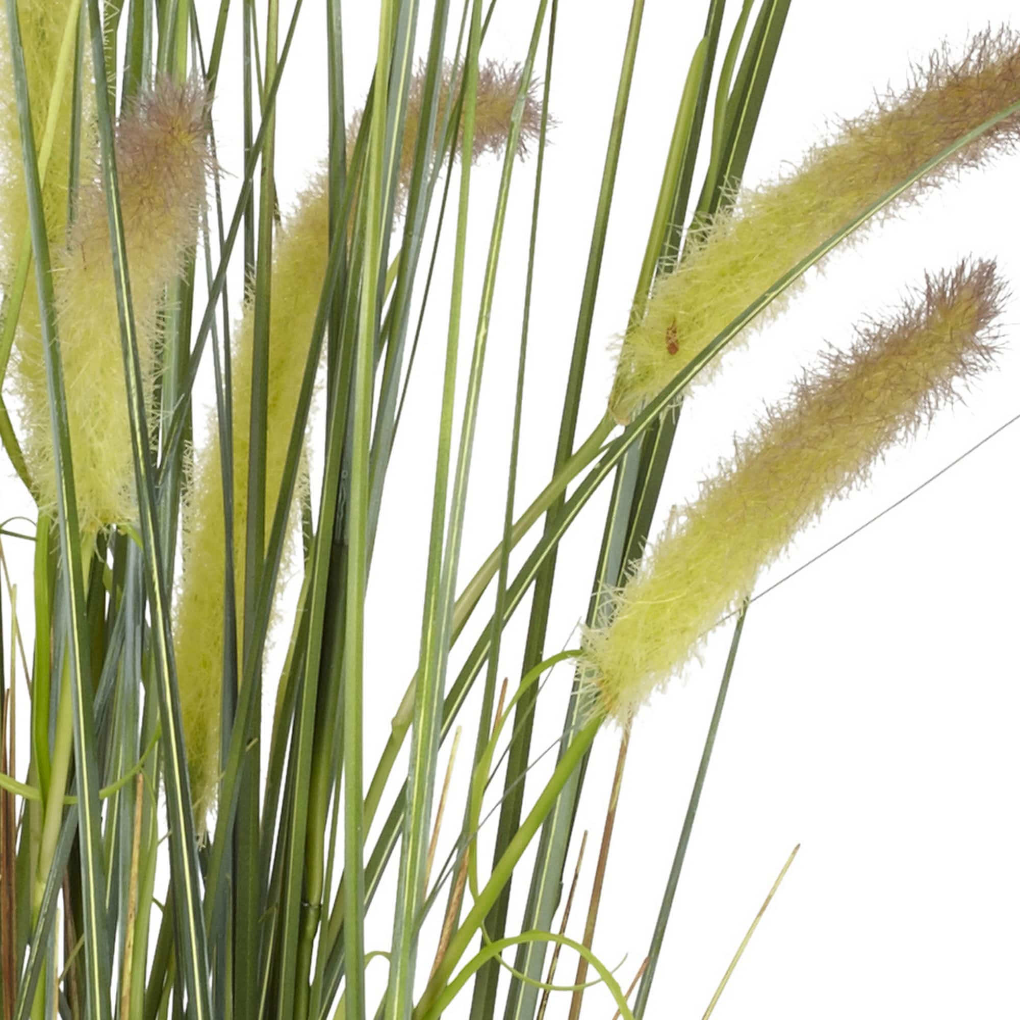 2.5ft. Potted Grass Plant