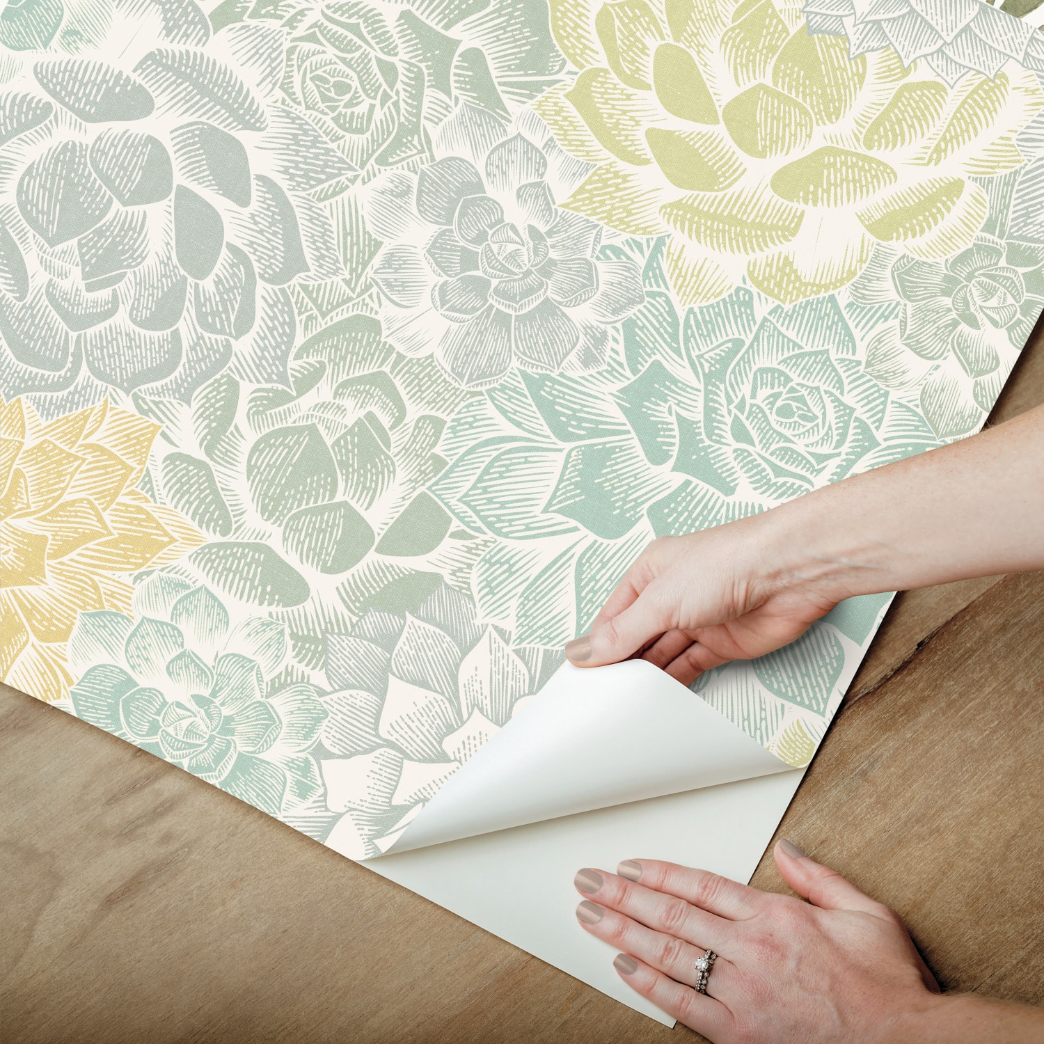 RoomMates Mr. Kate Succulent Plant Peel & Stick Wallpaper