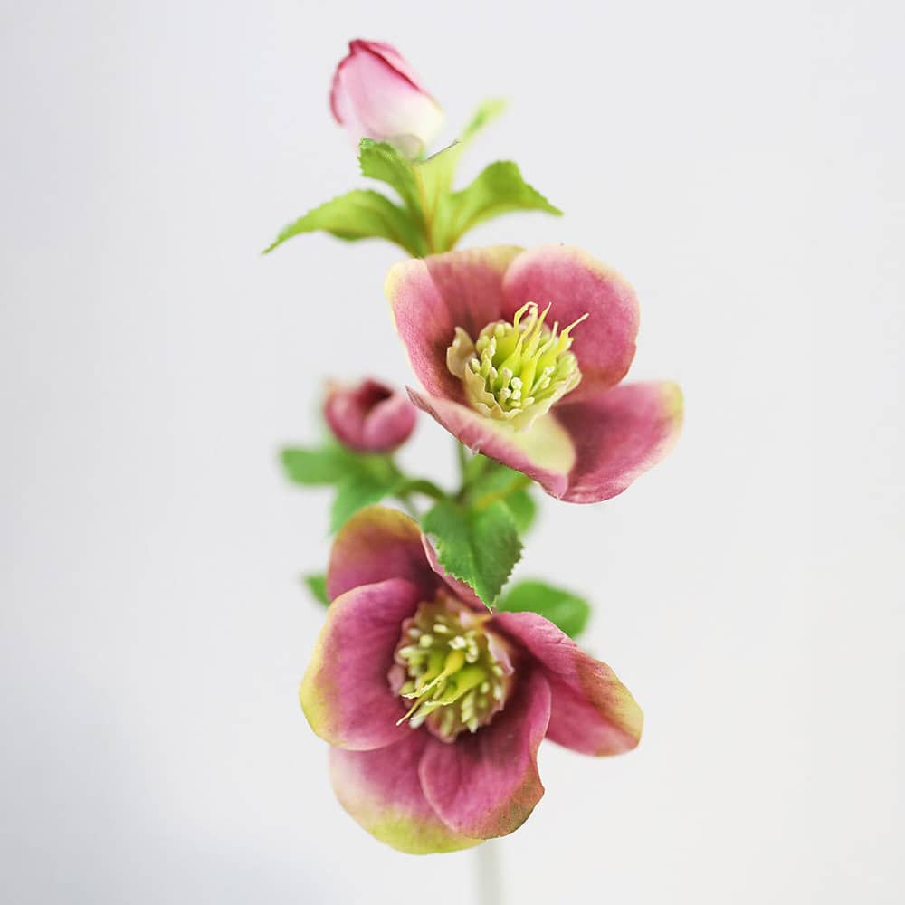 Prestige Botanicals 18" Artificial Real Touch Mauve Pink Hellebore Stem