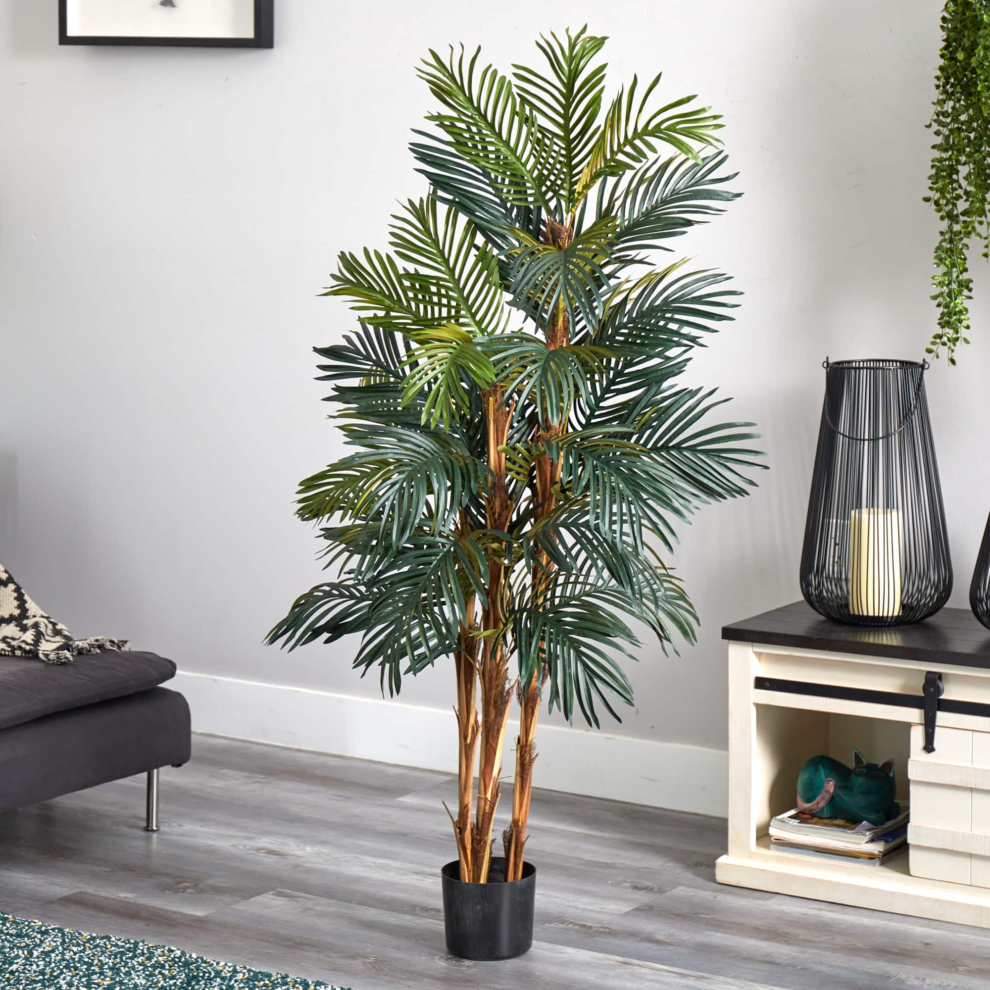 5ft. Potted Robellini Palm Tree