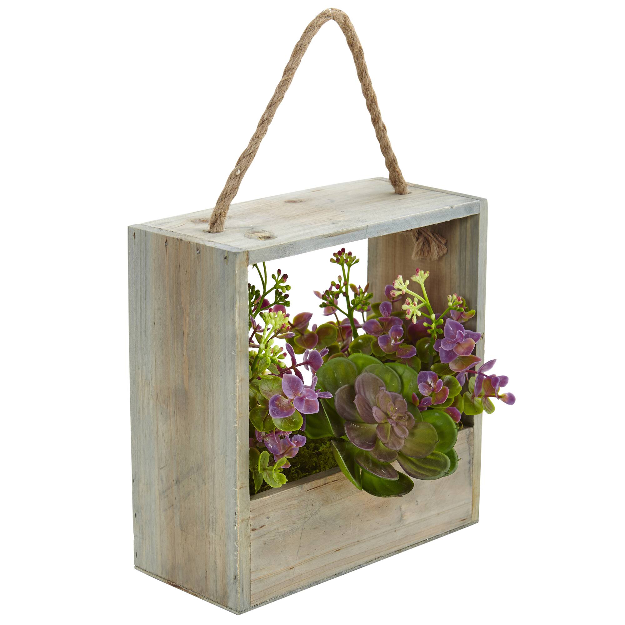 12.5" Succulent & Eucalyptus Plant in Hanging Frame