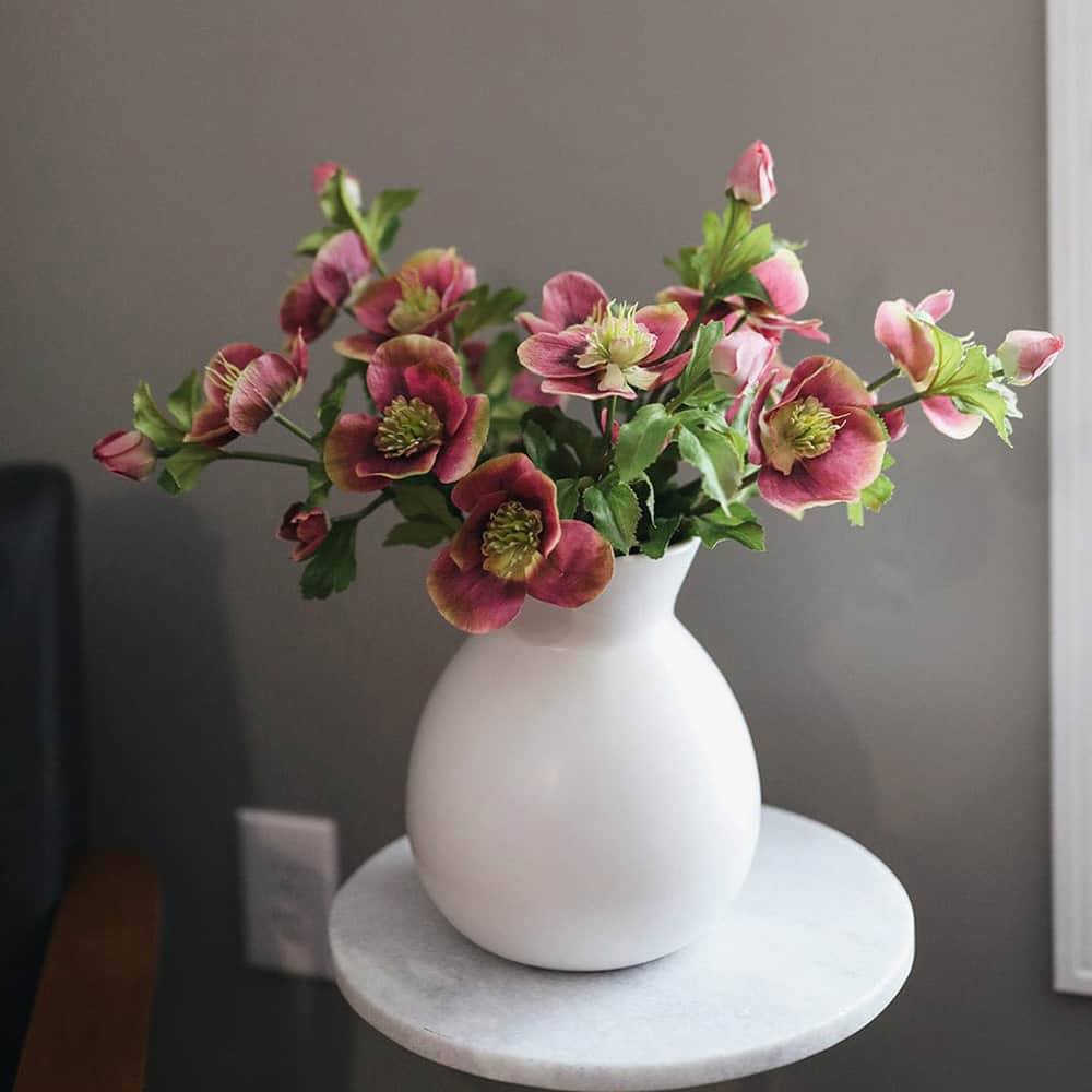 Prestige Botanicals 18" Artificial Real Touch Mauve Pink Hellebore Stem