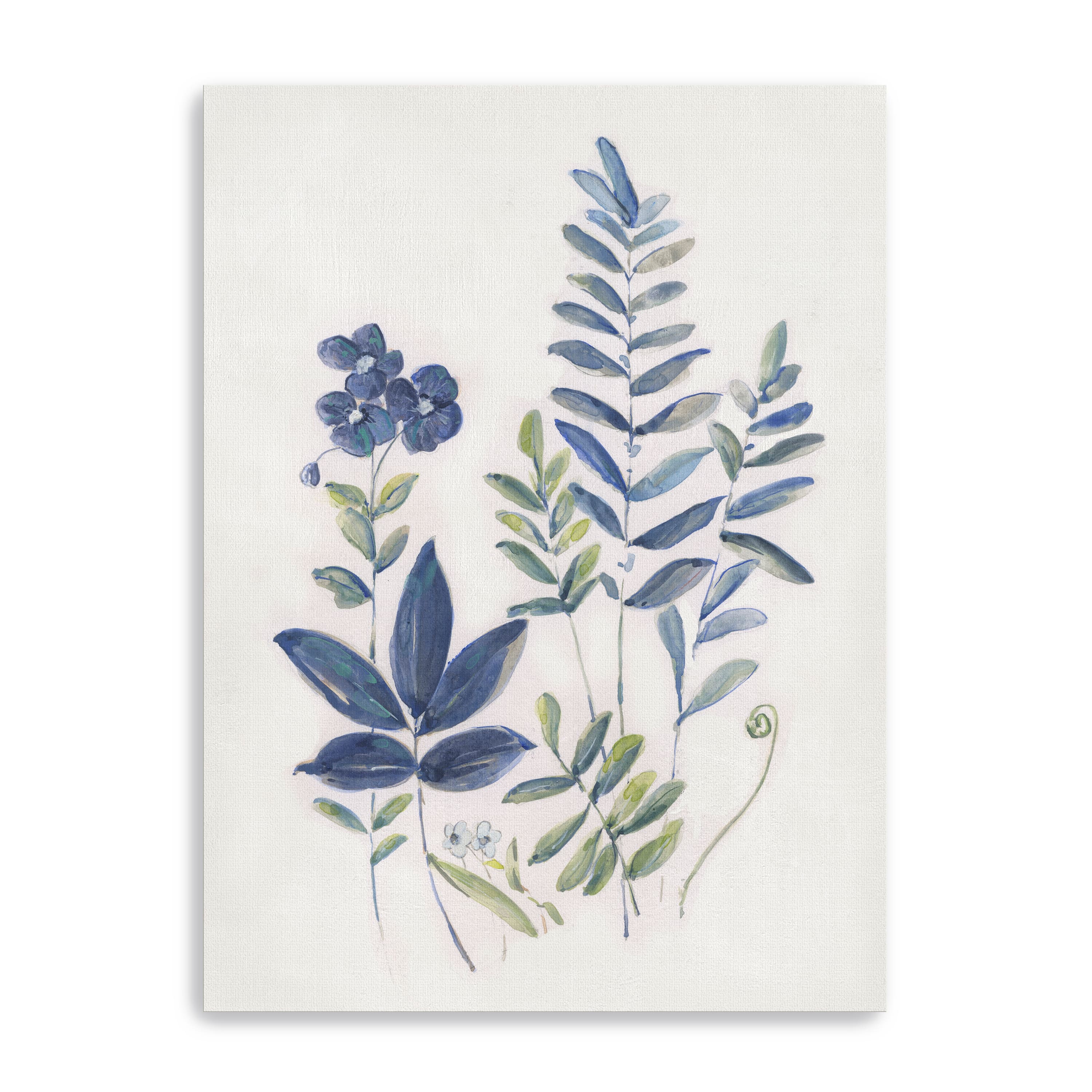Fern Study I Canvas Giclee