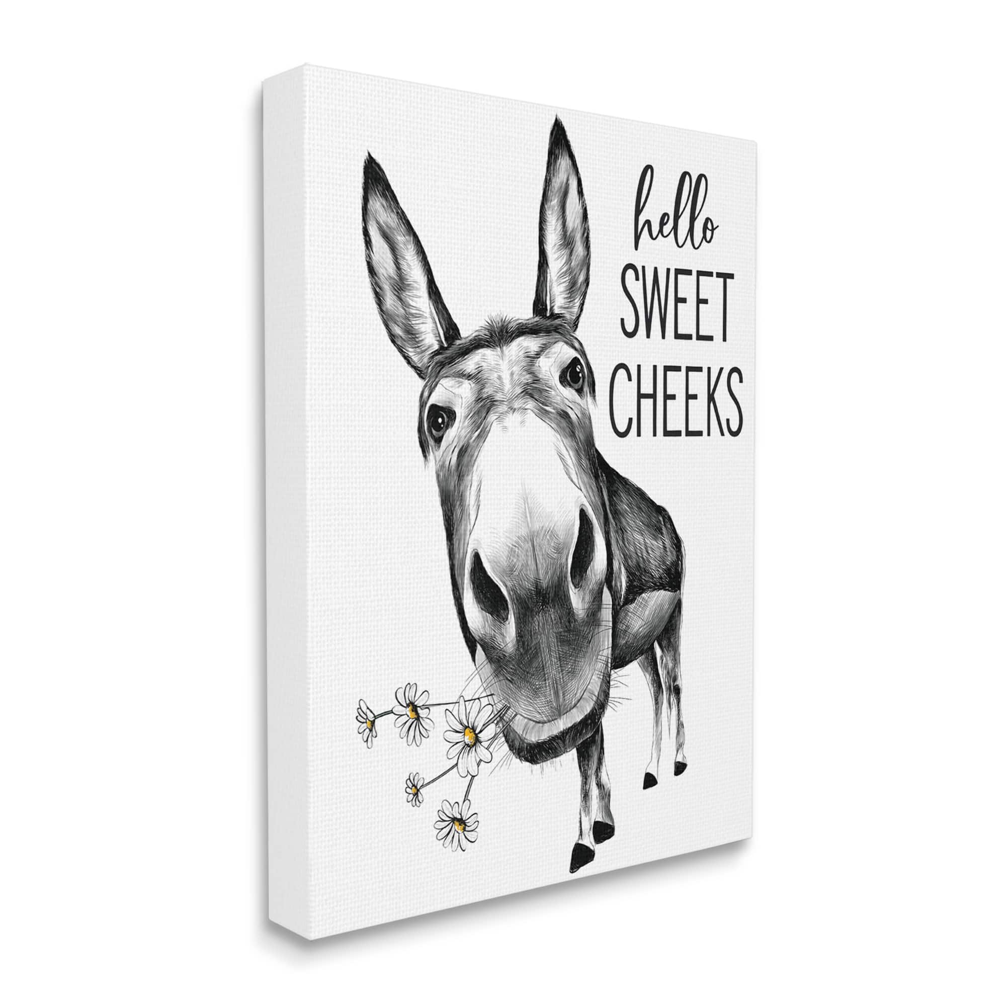 Stupell Industries Hello Sweet Cheeks Animal Humor Donkey Daisies Canvas Wall Art