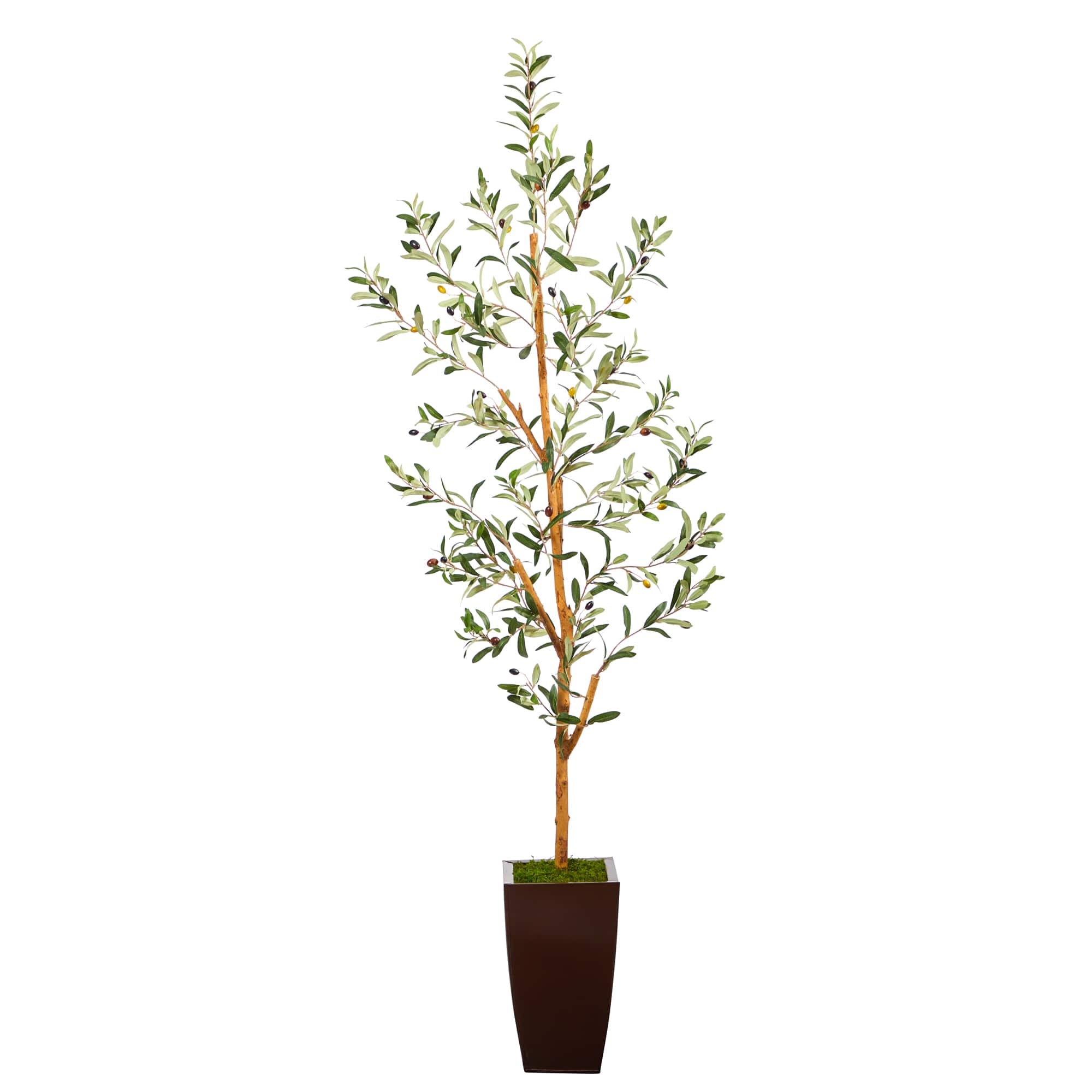 5.5ft. Olive Artificial Tree in Bronze Metal Planter
