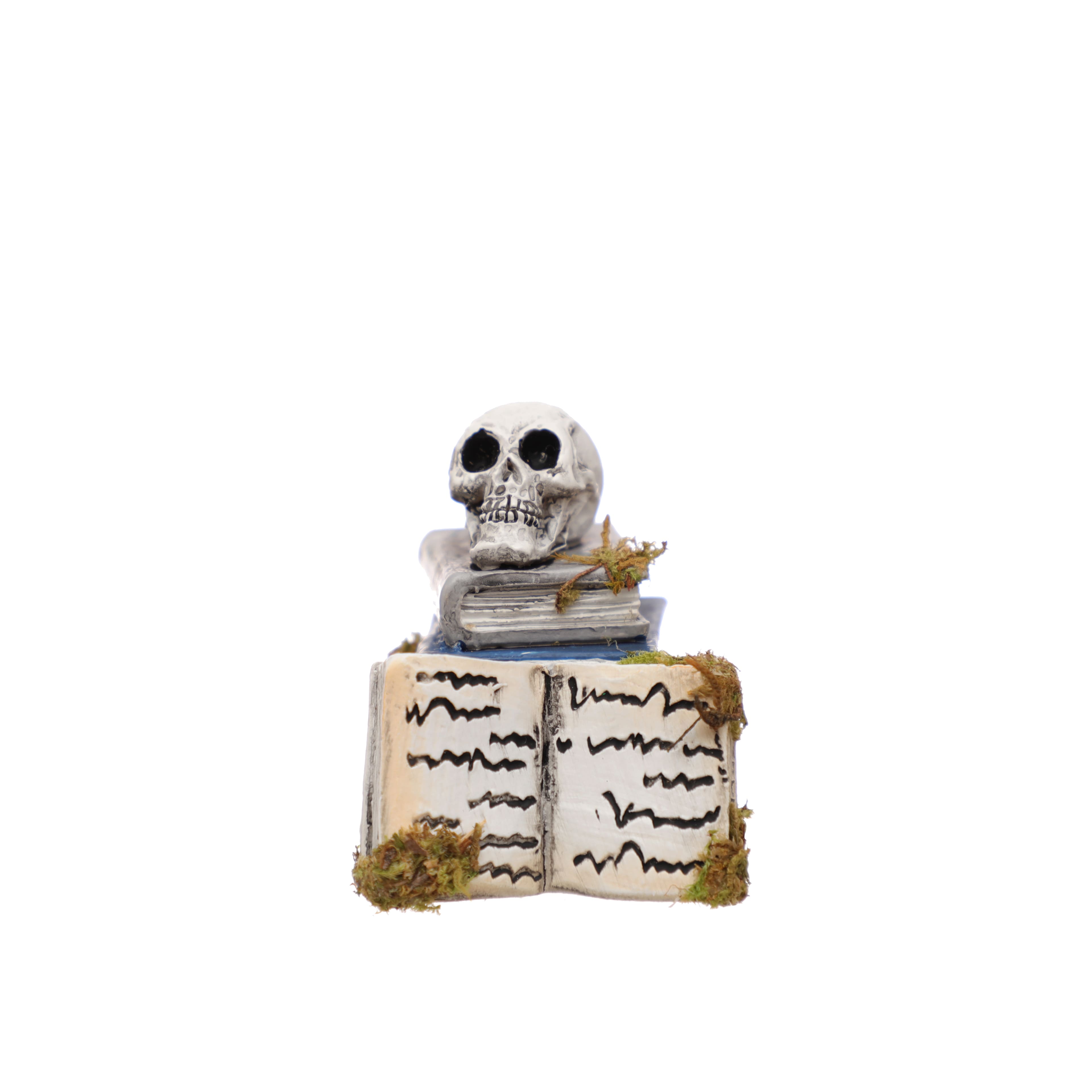 Mini Skull on Book by Ashland®