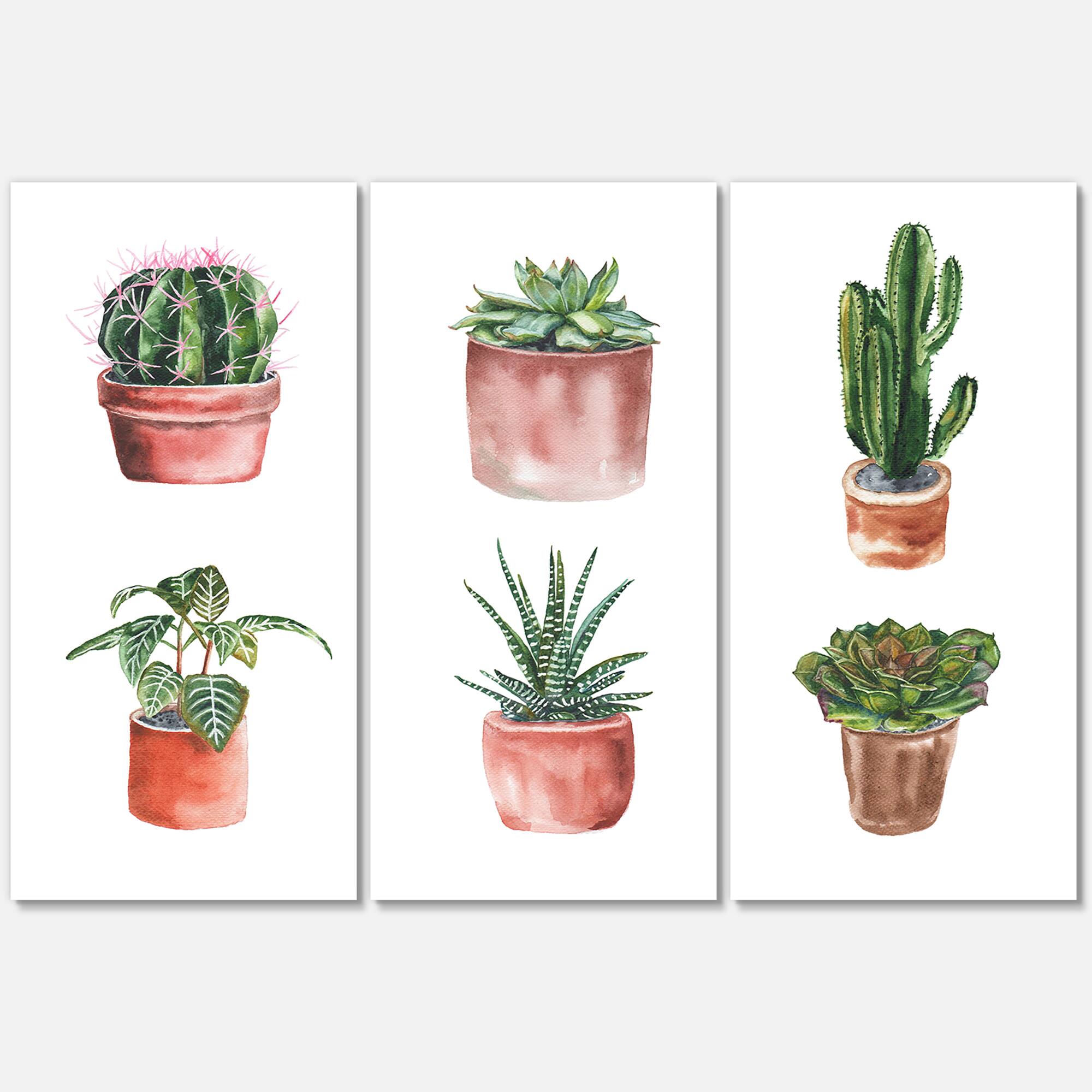Designart - Flowers In A Pot Cacti and Succulents - Traditional Canvas Wall Art Print