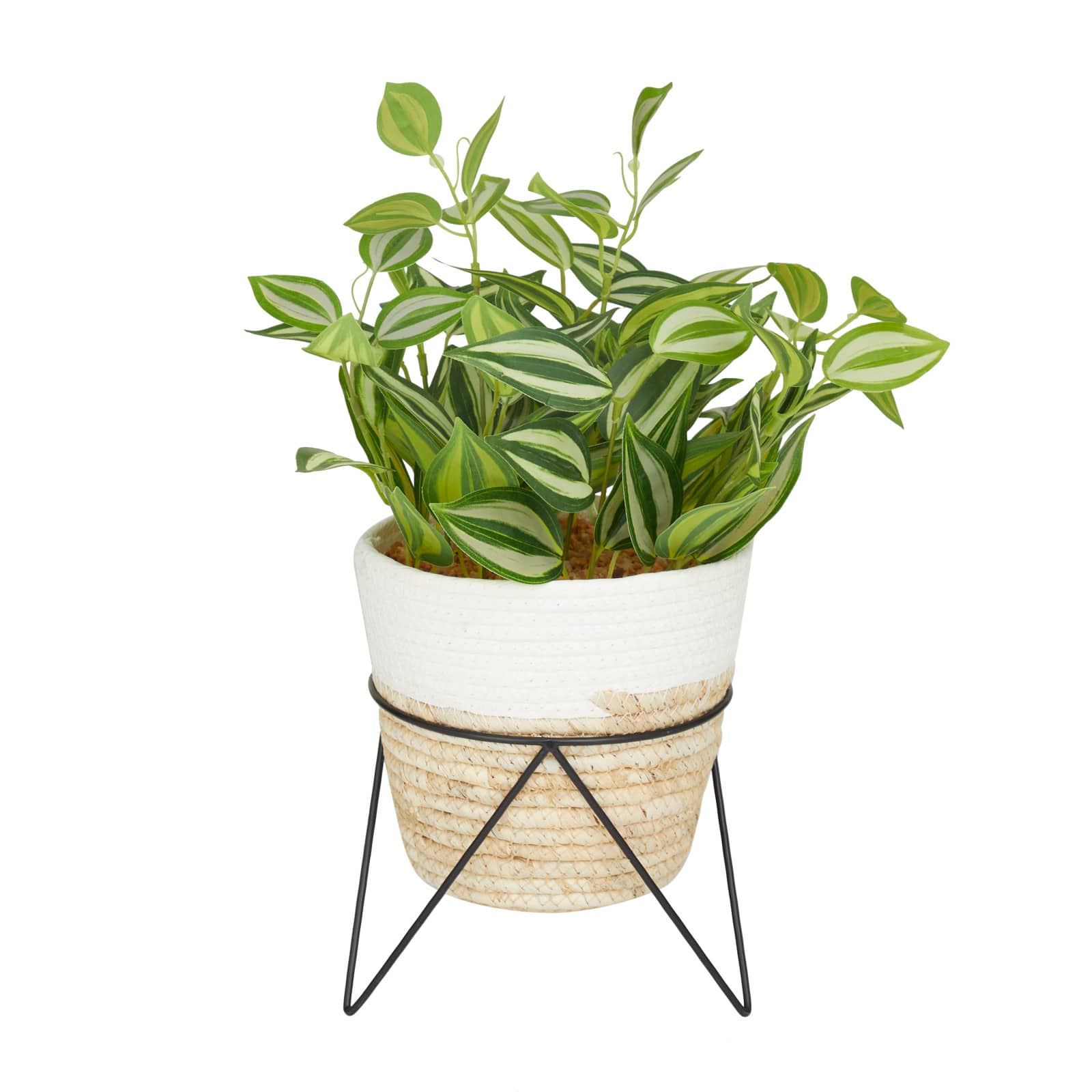 16" Potted Green Rattan Coastal Artificial Foliage