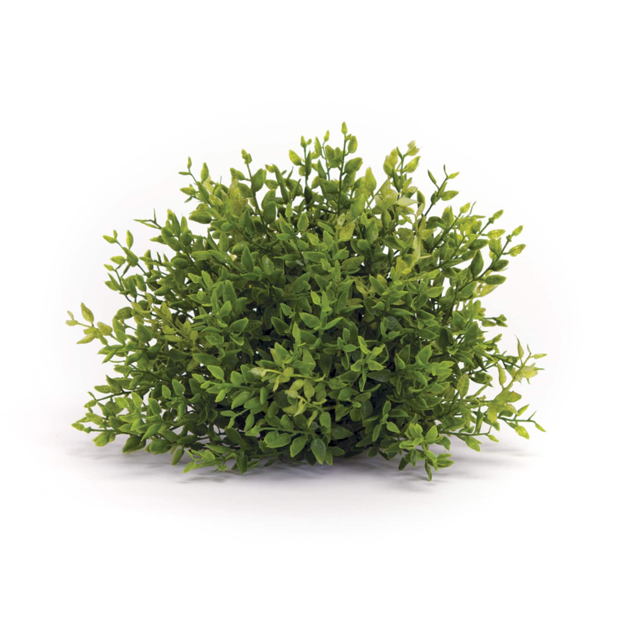 7" Mini Leaf Half Orb Set