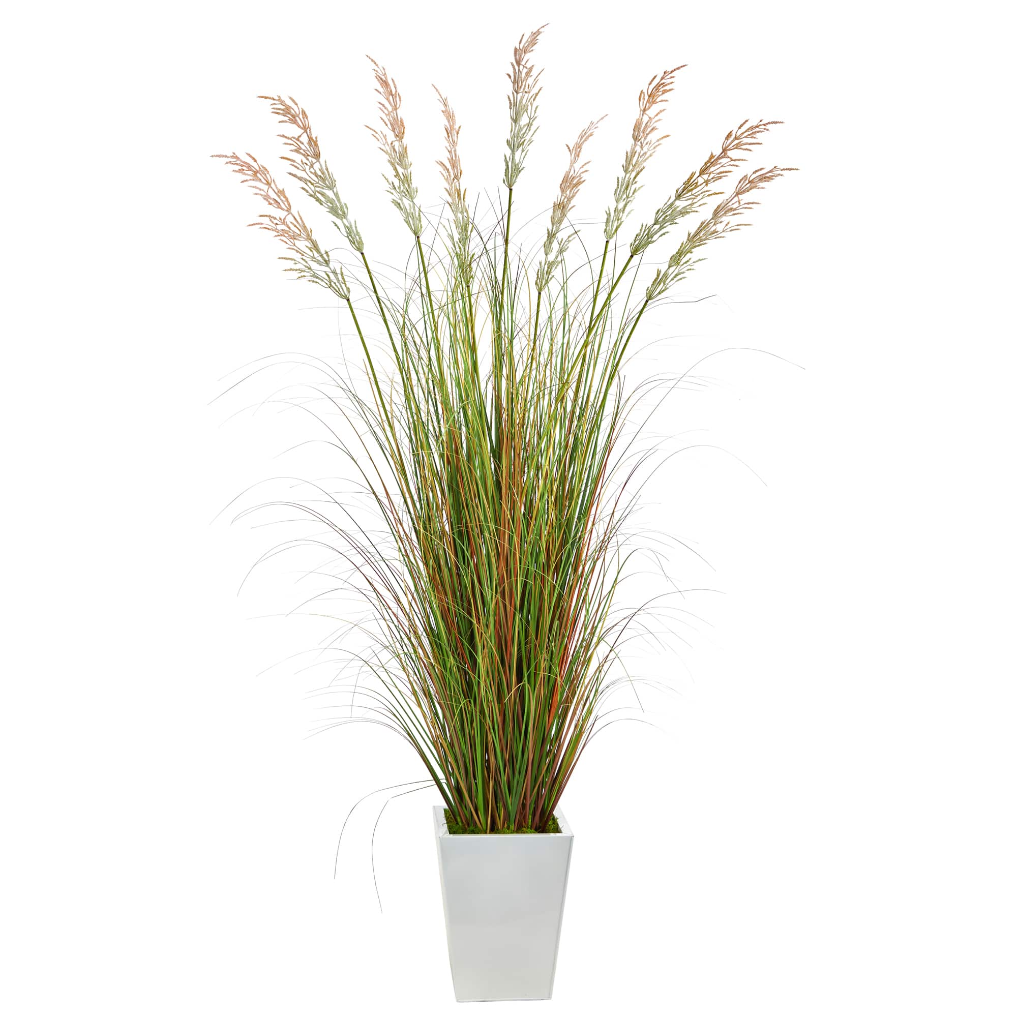 6ft. Grass Plant in White Metal Planter