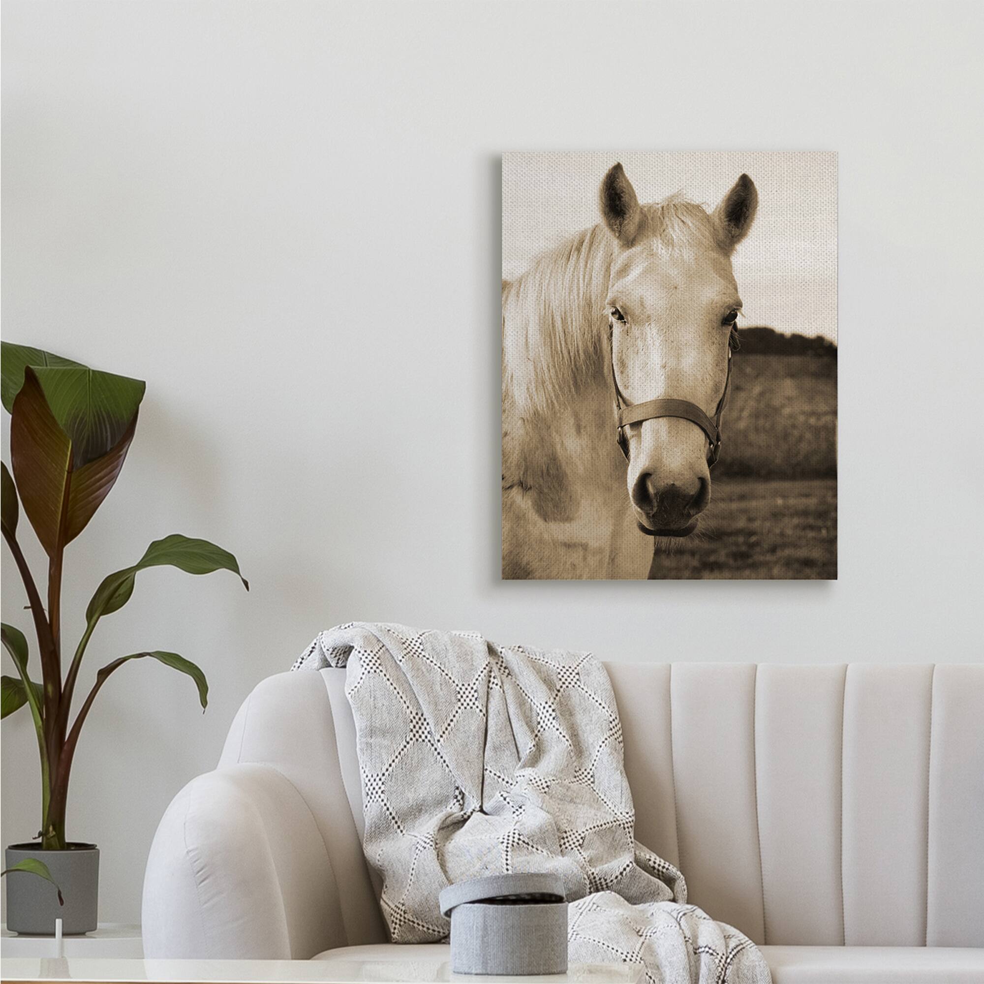 Stupell Industries Rustic Sepia tone Portrait of White Horse Canvas Wall Art