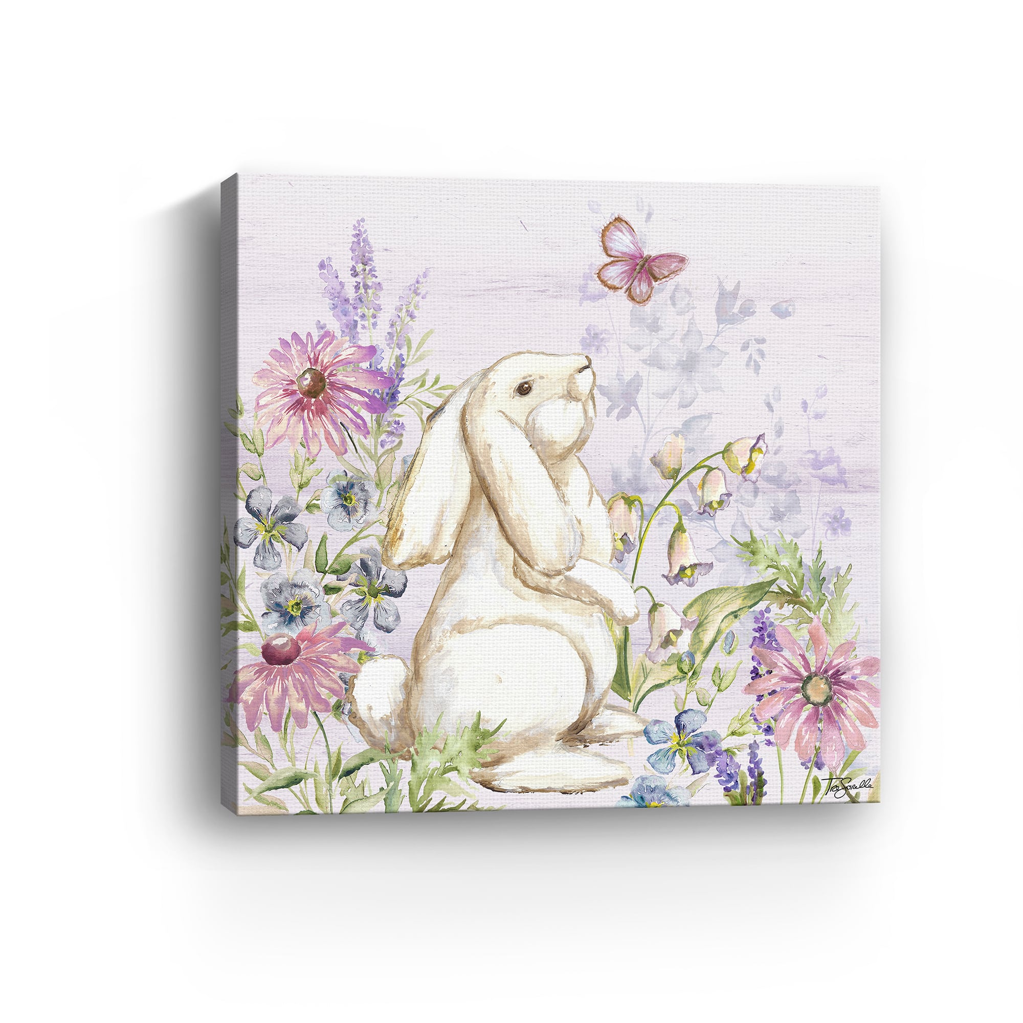 Lumaprints Butterfly Trail V Canvas Giclée Art