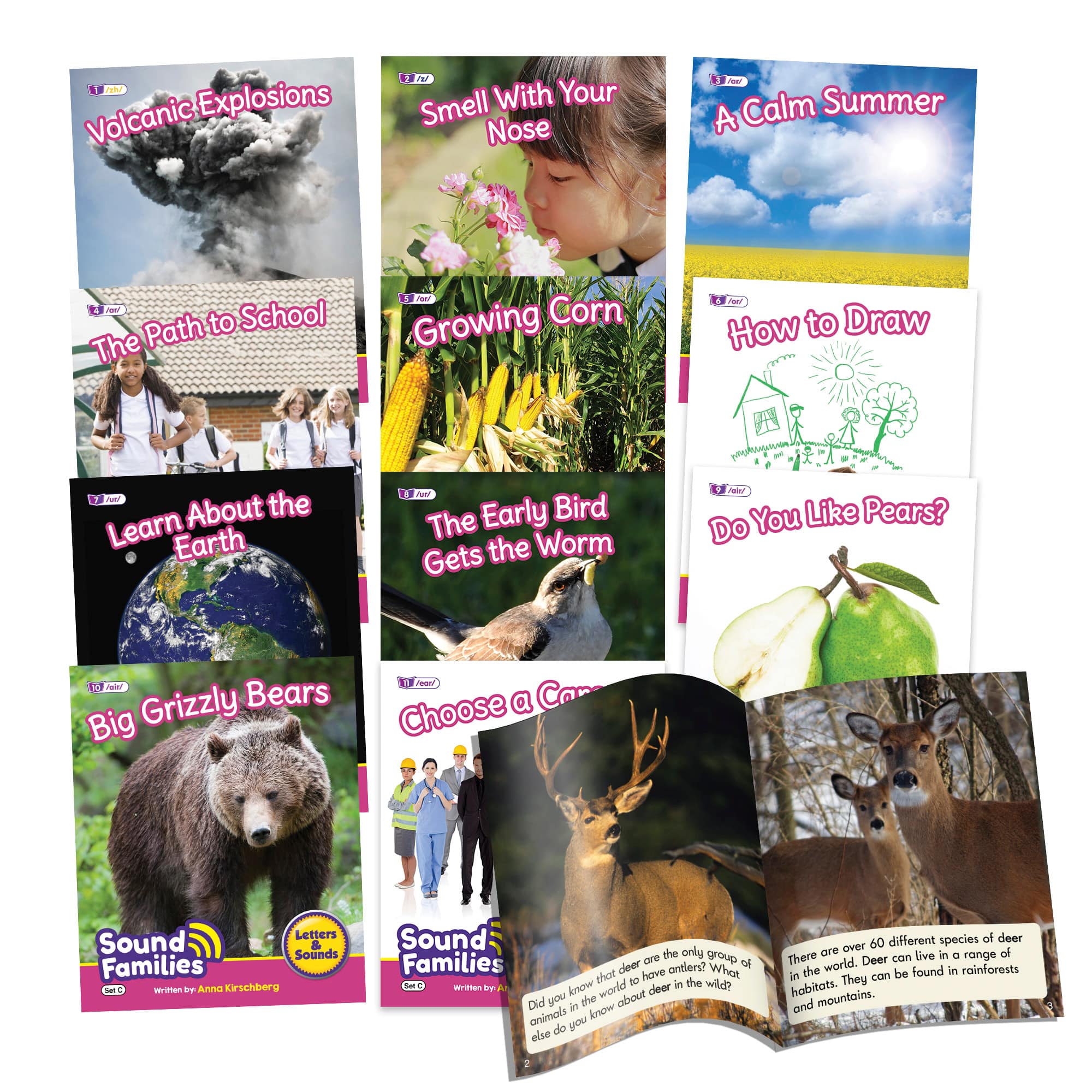 Junior Learning® Decodable Readers Sound Families R-controlled Non-Fiction Phase 5.5 Set
