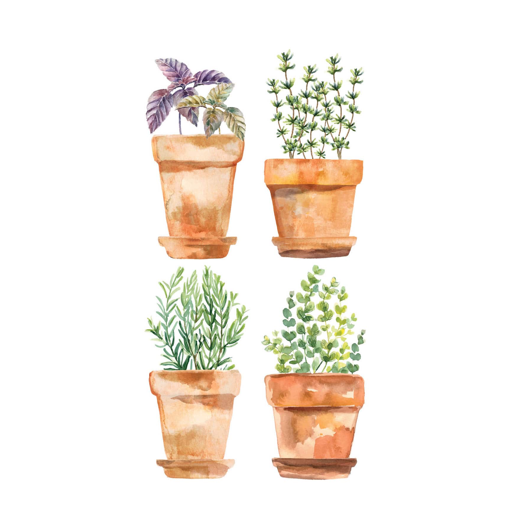 RoomMates Brown & Green Watercolor Potted Herbs Wall Decals