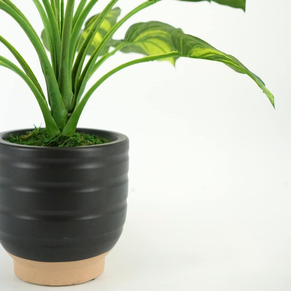 House of Silk Flowers 23" Small Faux Hosta in Matte Black & Terracotta Ceramic Planter