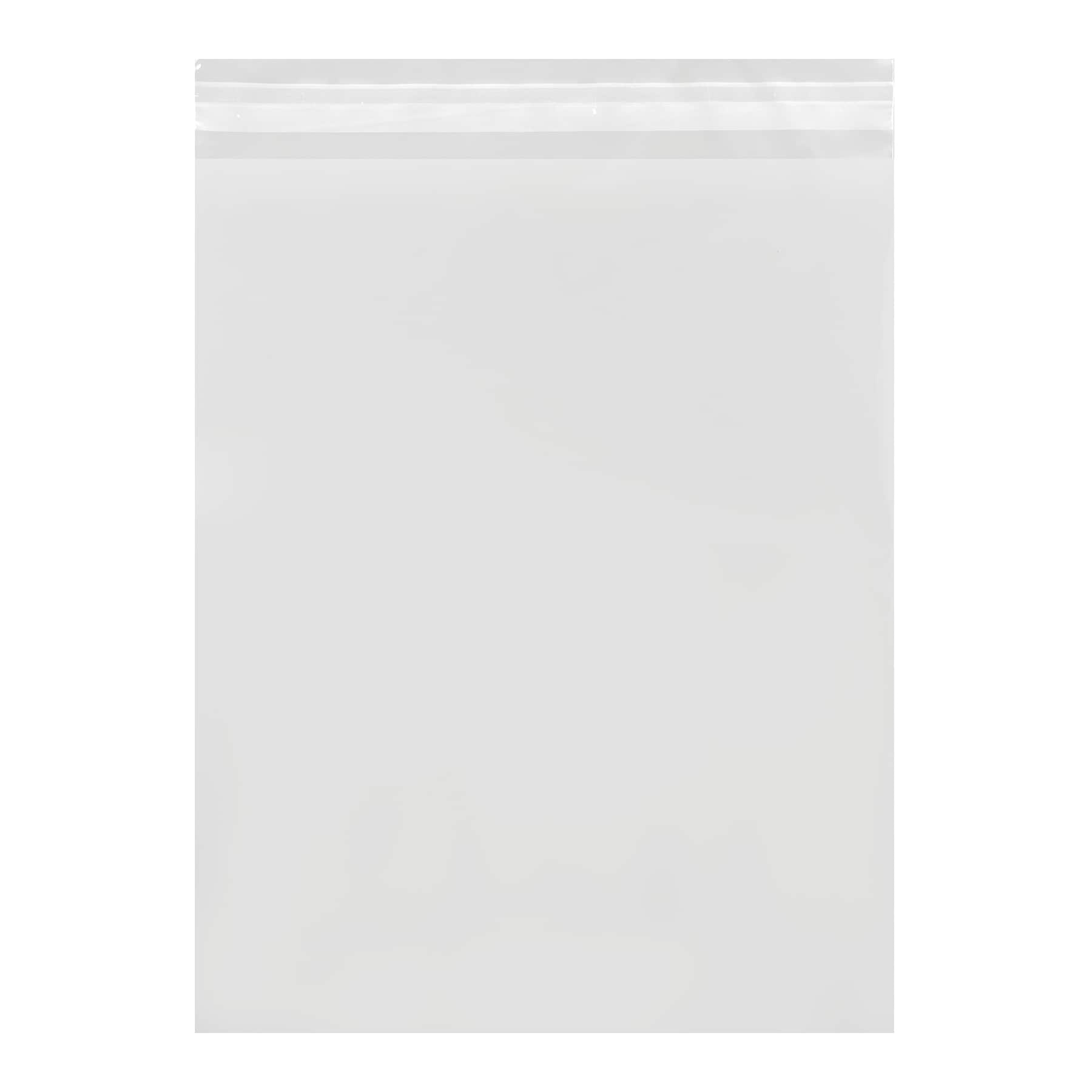 Clear Art Sleeves by Artist's Loft
