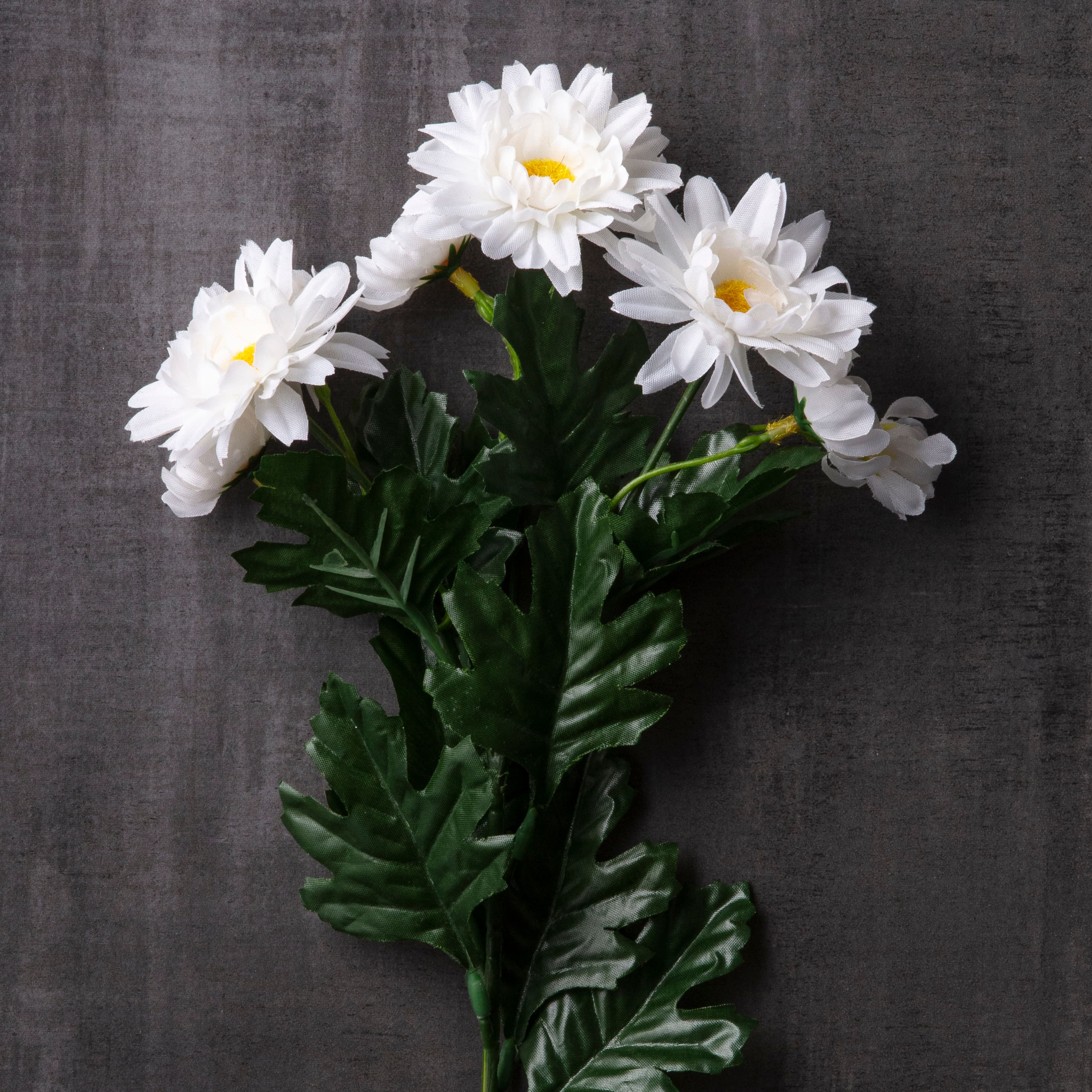 White Aster Daisy Spray by Ashland®