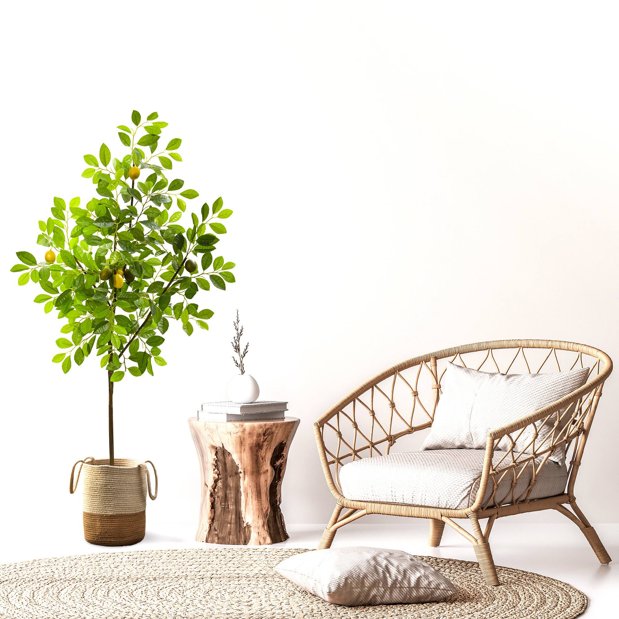 5ft. Potted Lemon Tree