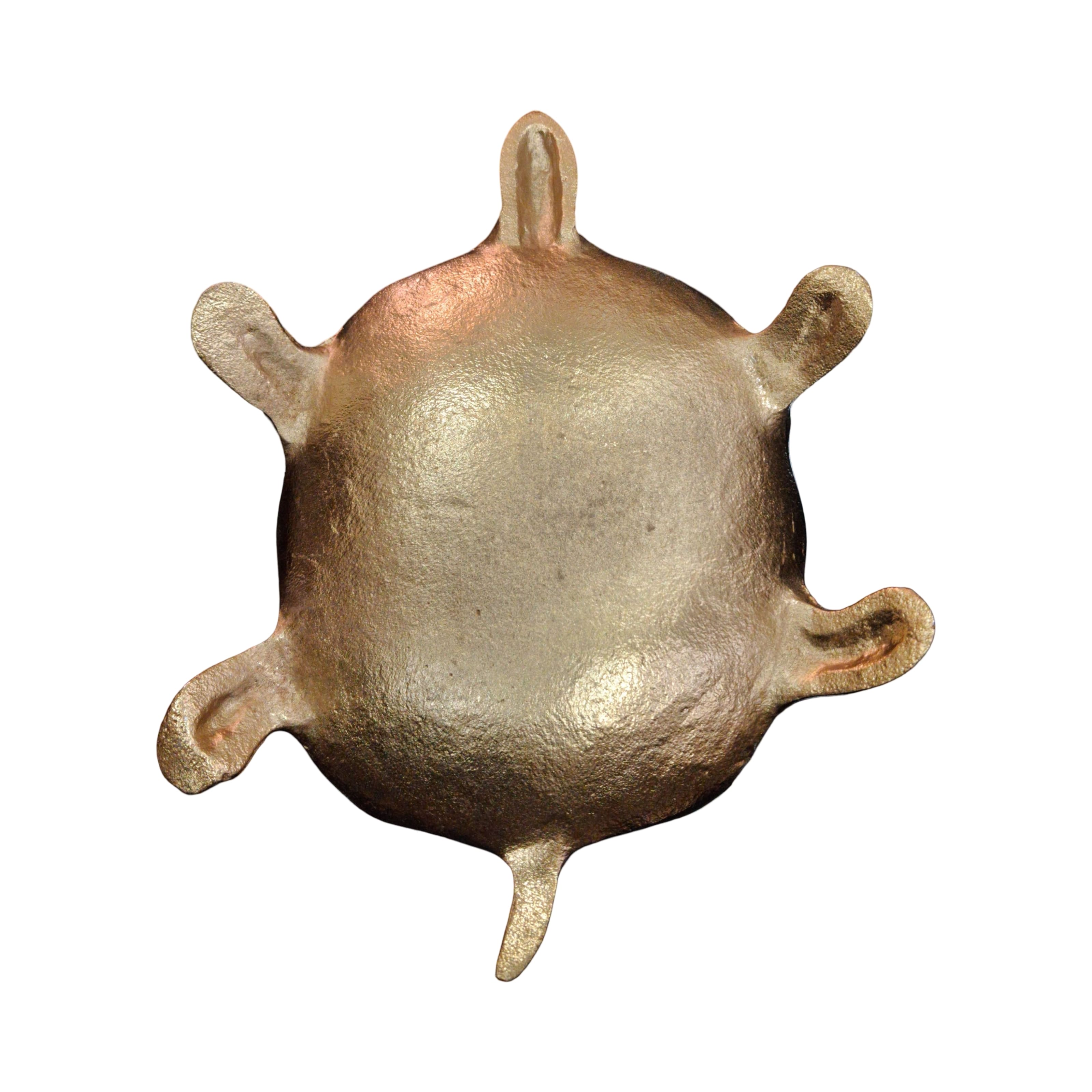 Turtle Decorative Bowl by Ashland