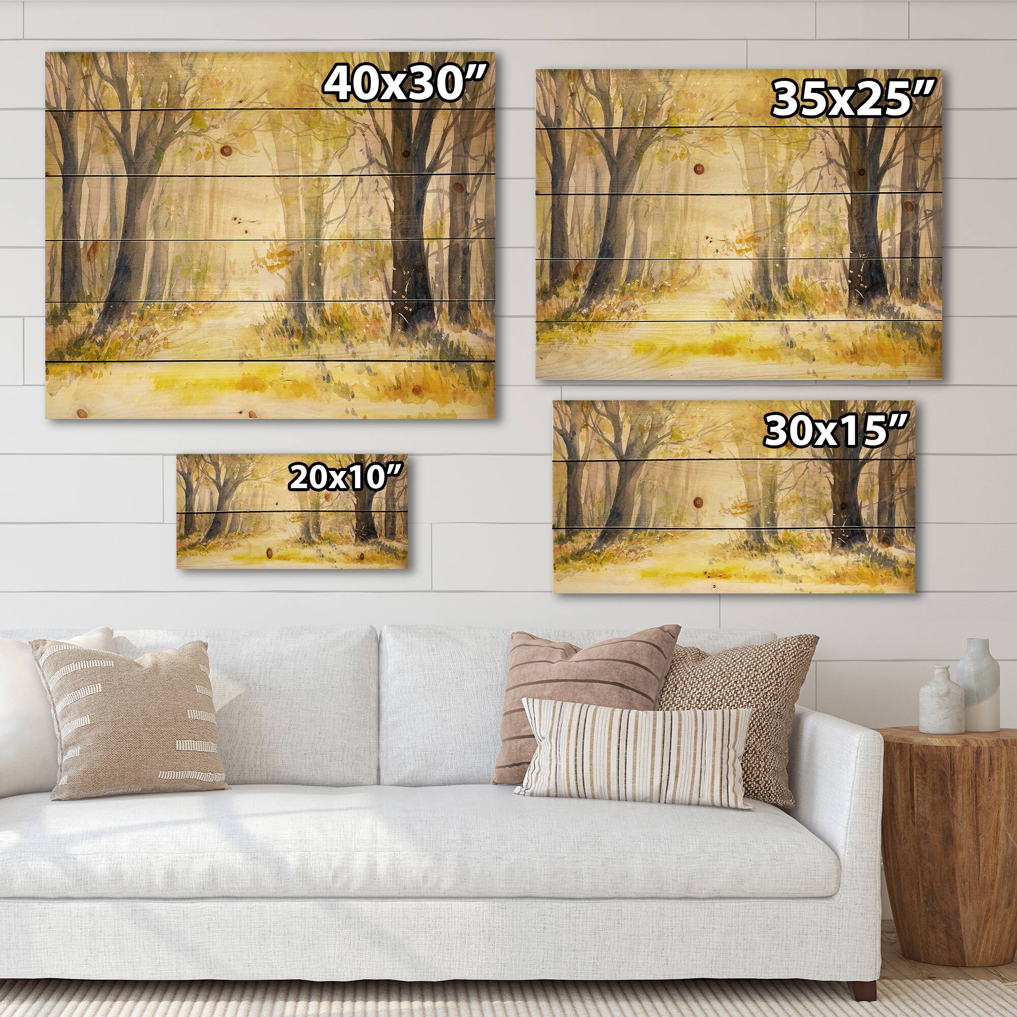 Designart - Bright Sunshine Through The Forest Trees I - Traditional Print on Natural Pine Wood