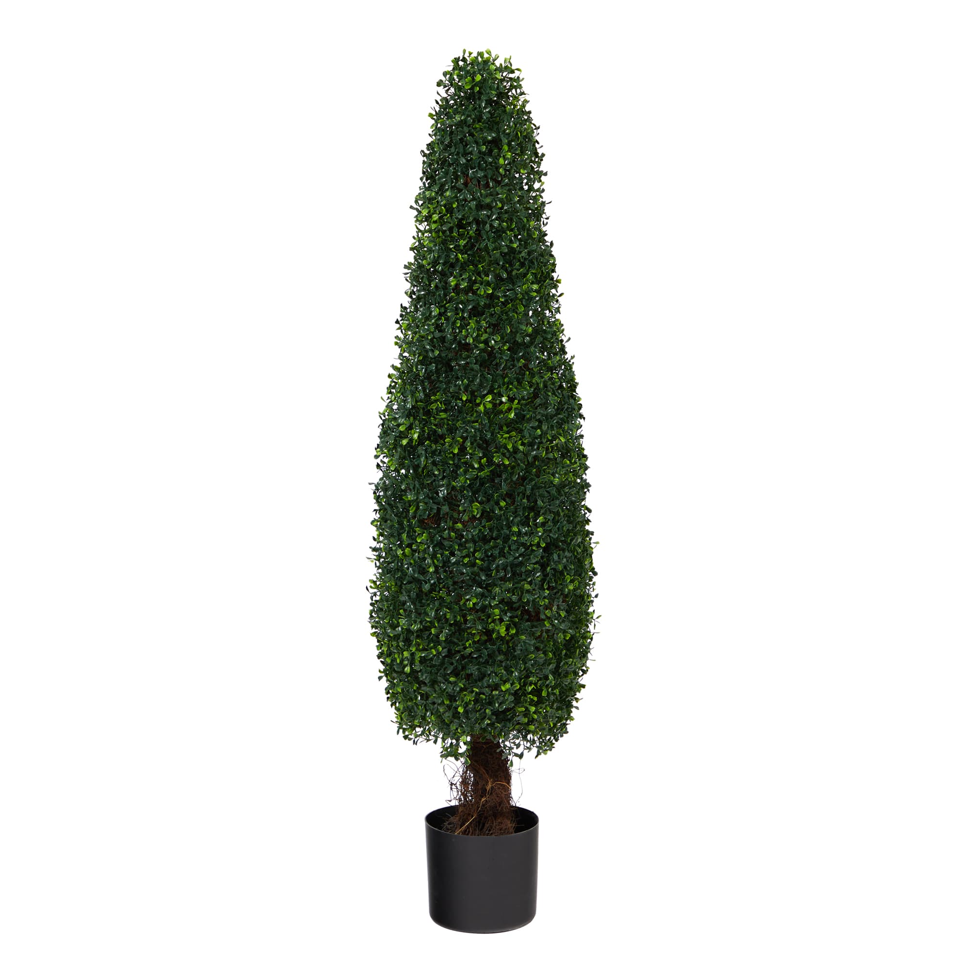 4ft. Potted Boxwood Cone Topiary Tree