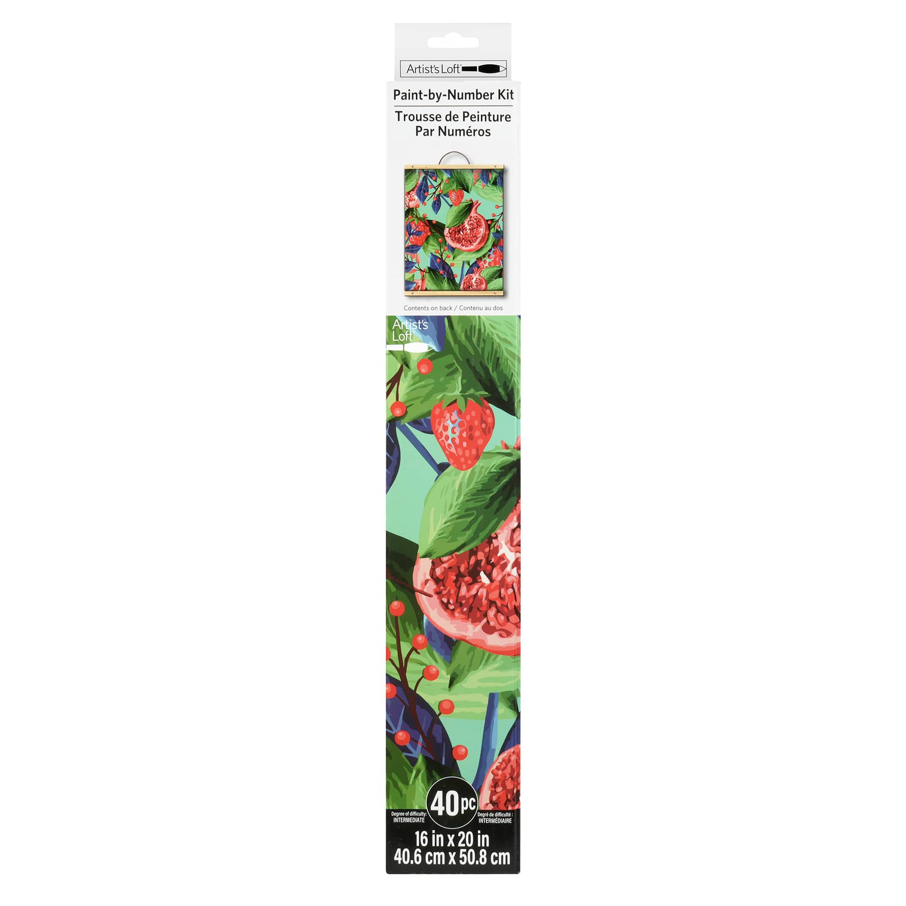 Pomegranates & Strawberries Paint-by-Number Kit by Artist's Loft®