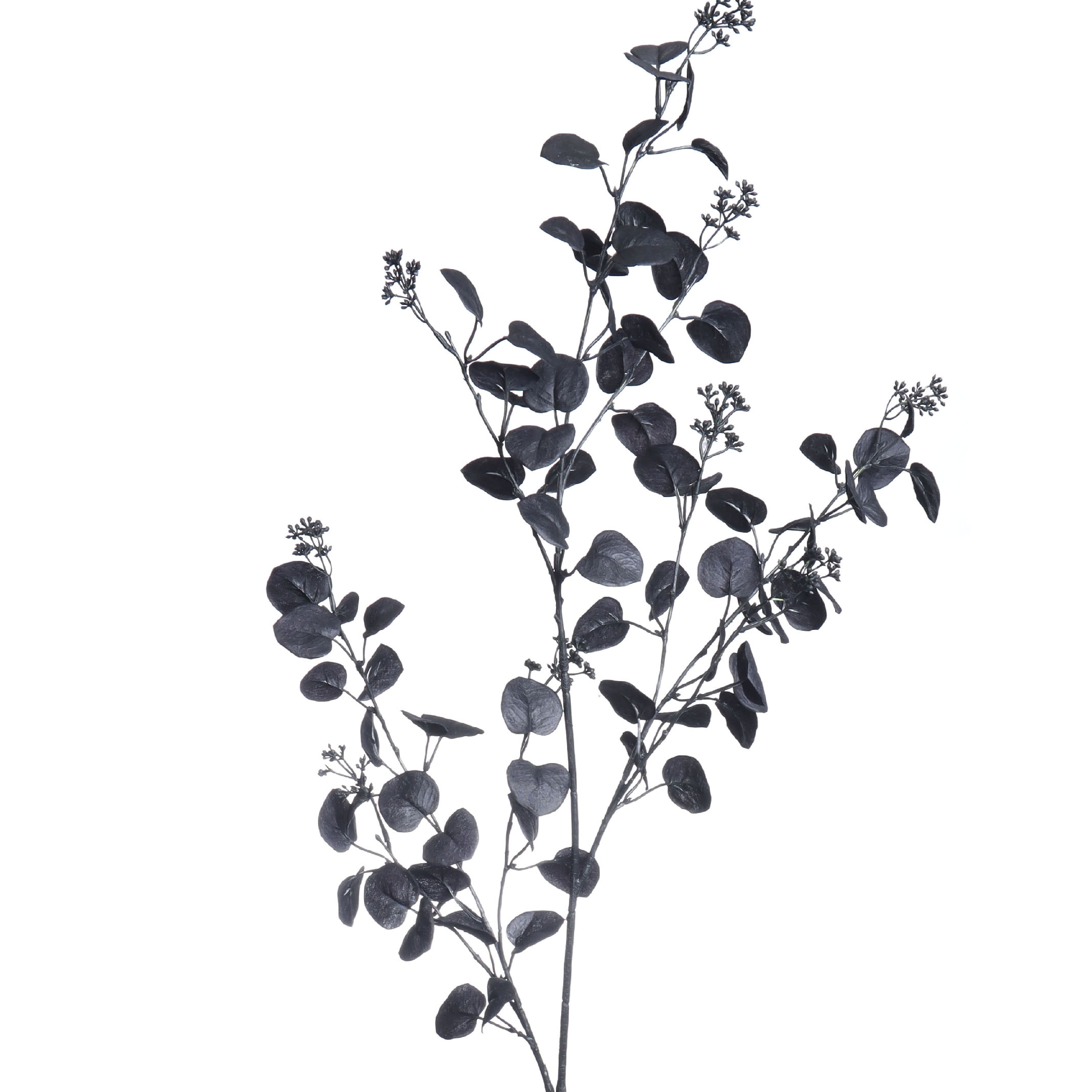 57" Black Eucalyptus with Seed Oversized Stem by Ashland®