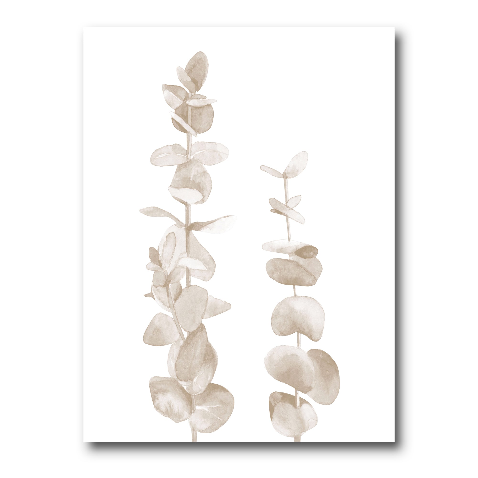 Designart - Beige Eucalyptus Branches On White - Traditional Canvas Wall Art Print