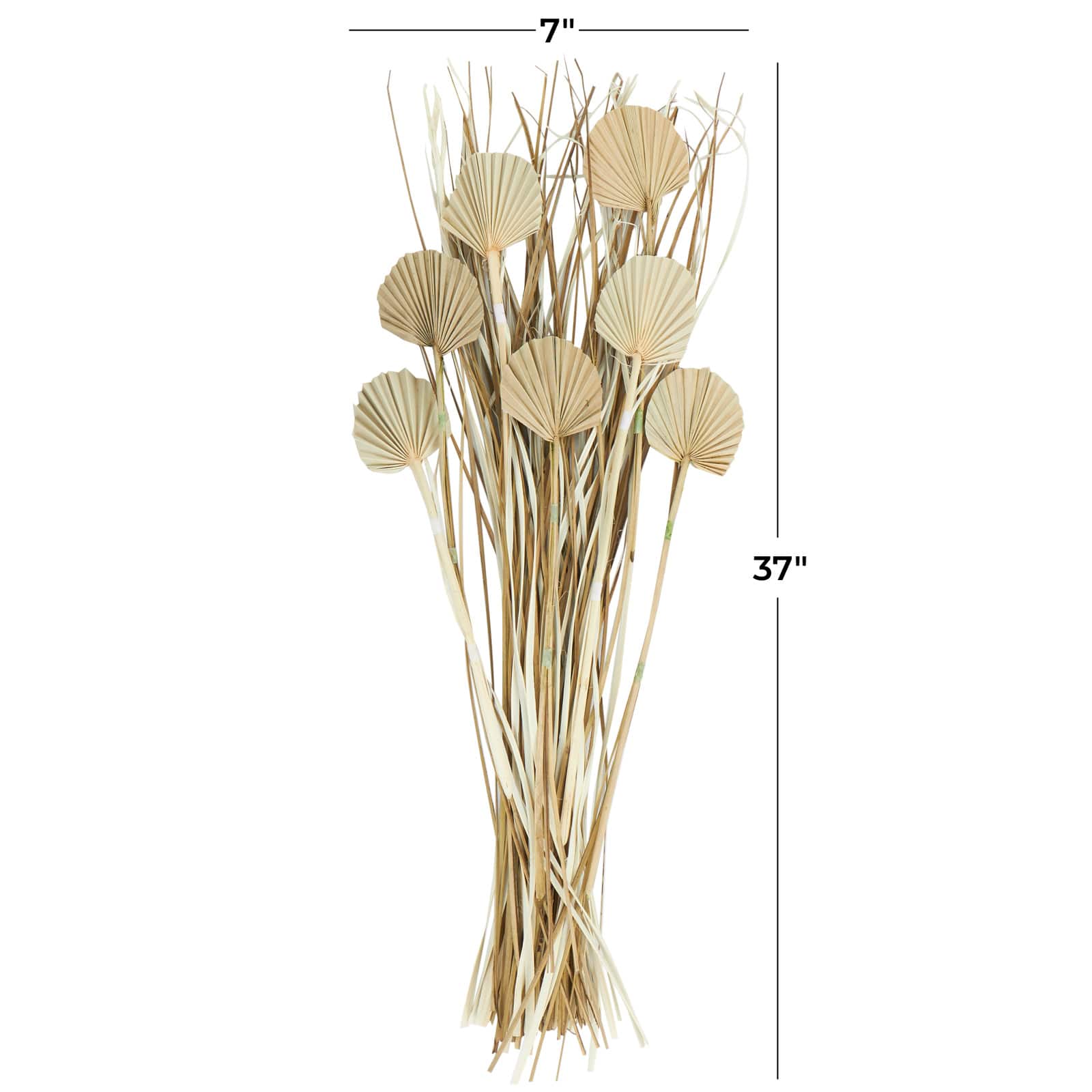 3ft. Brown Dried Plant Palm Leaf Natural Foliage with Grass