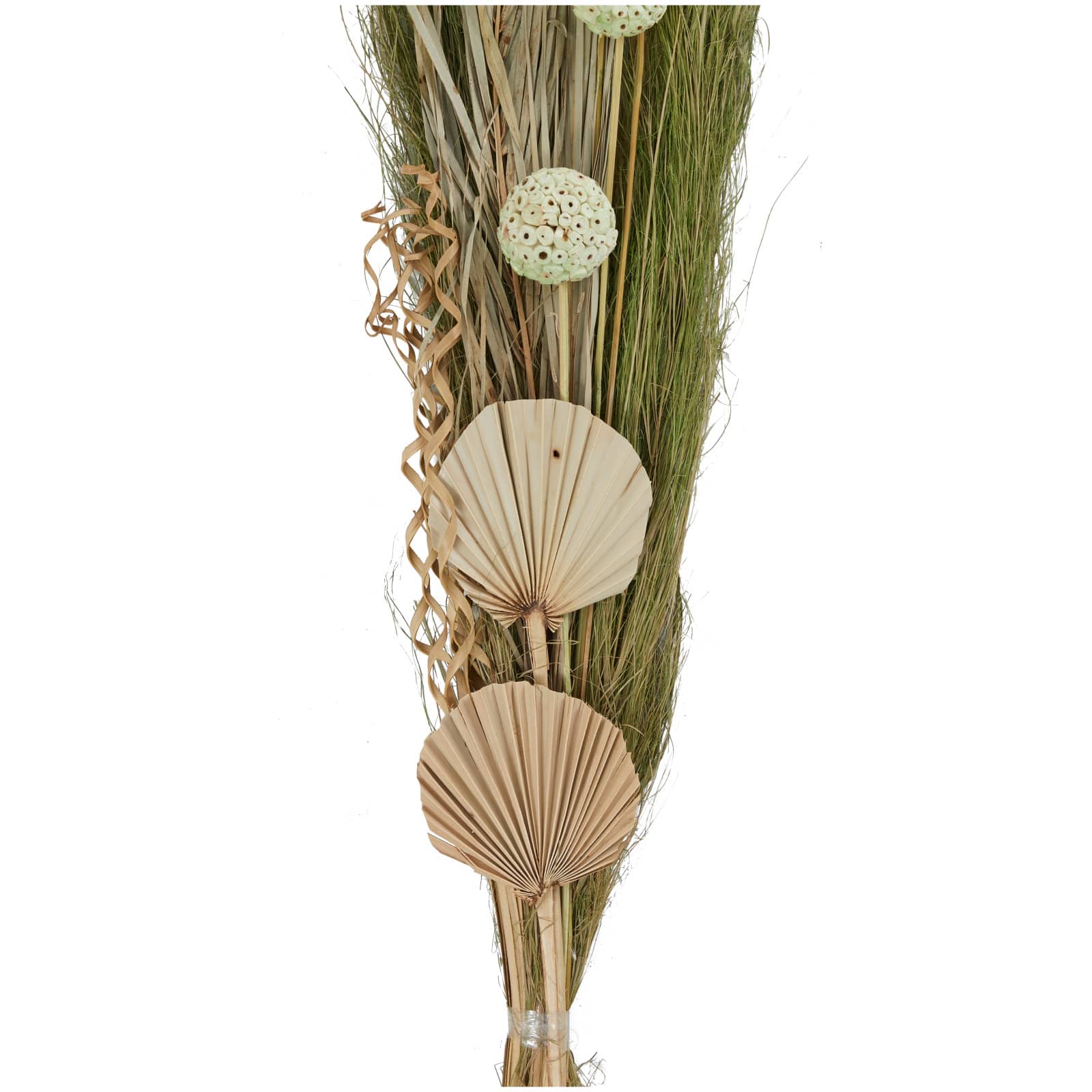 60" Green Dried Plant Assorted Bouquet Pampas Grass Natural Foliage with Palm Leaf Accents