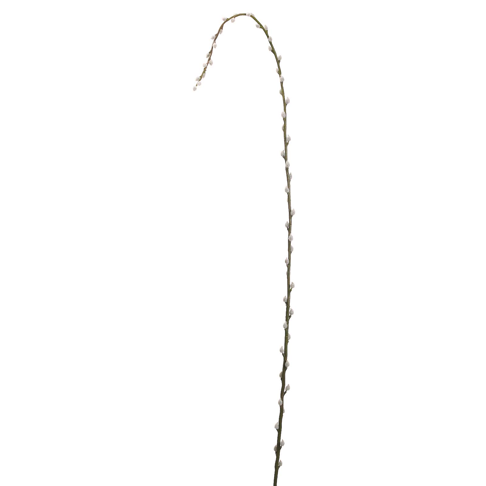 Pussy Willow Stem